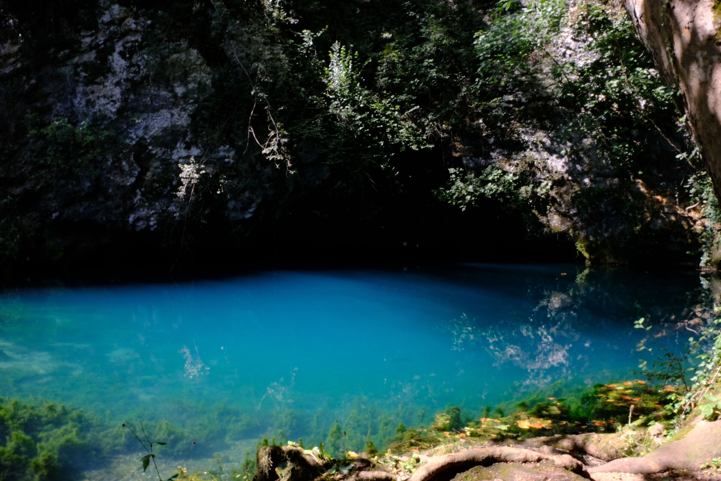 Sorgente del Gorgazzo 2