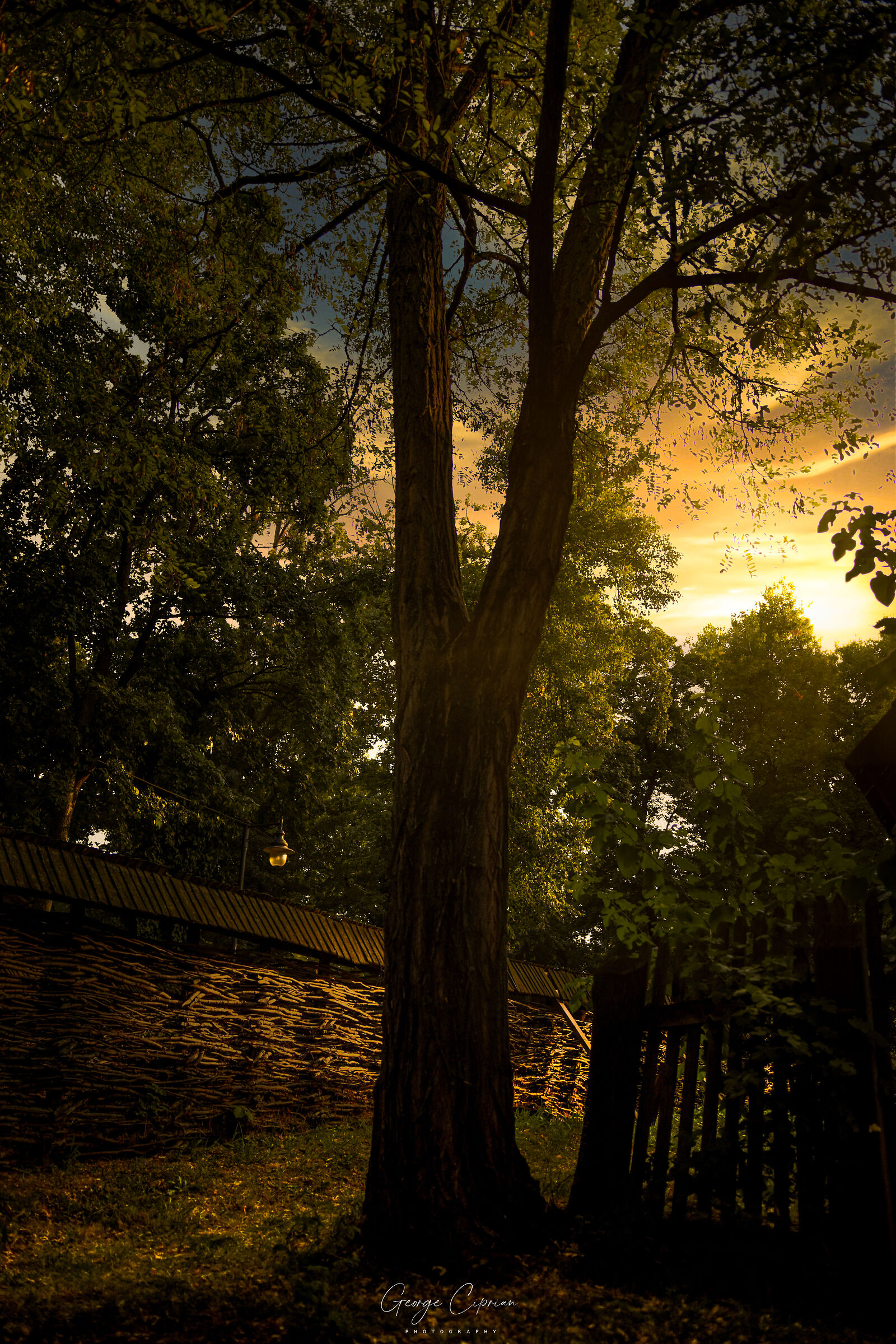 Sfumature dell'autunno