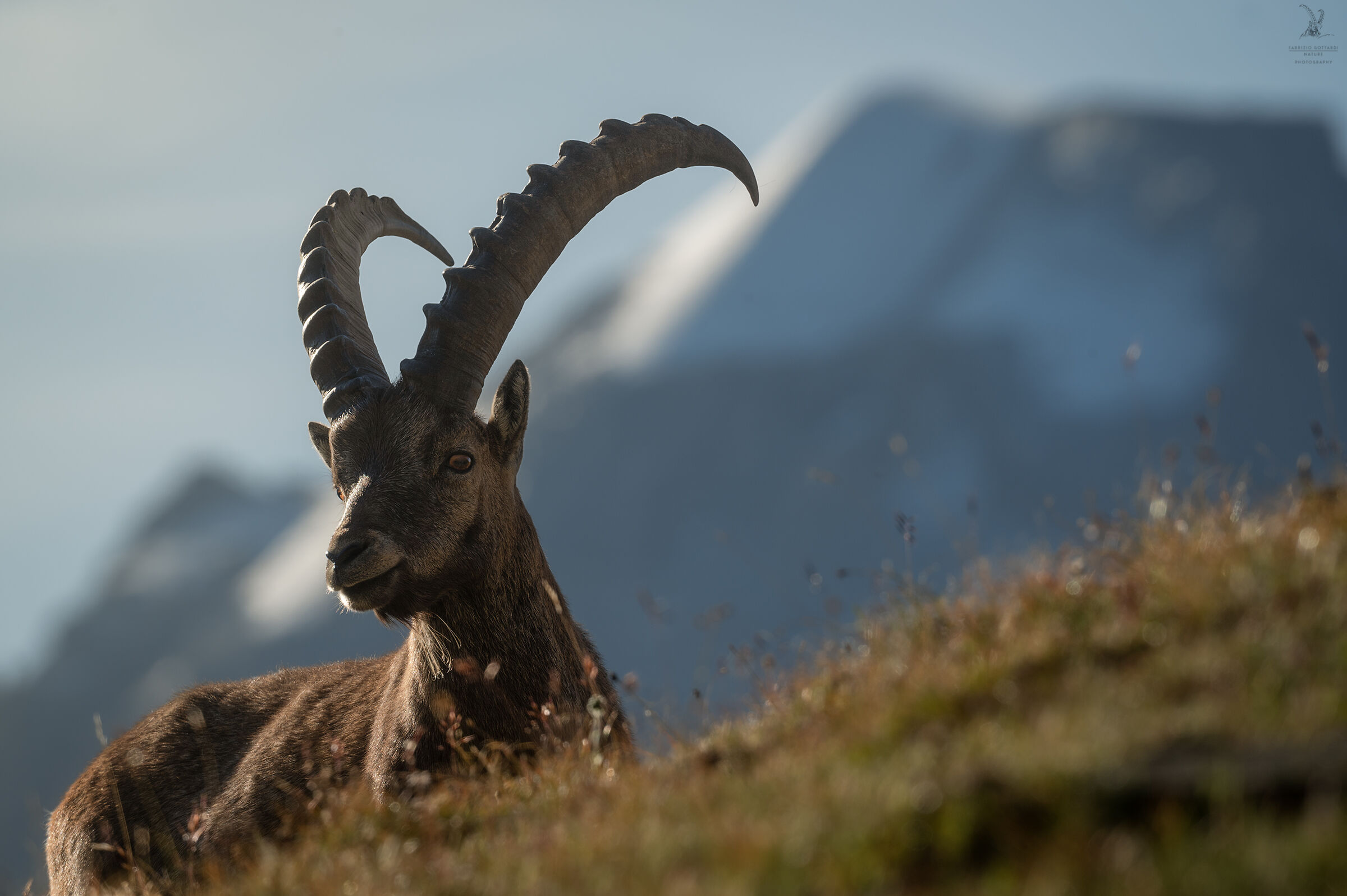 In the shadow of the Ciarforon