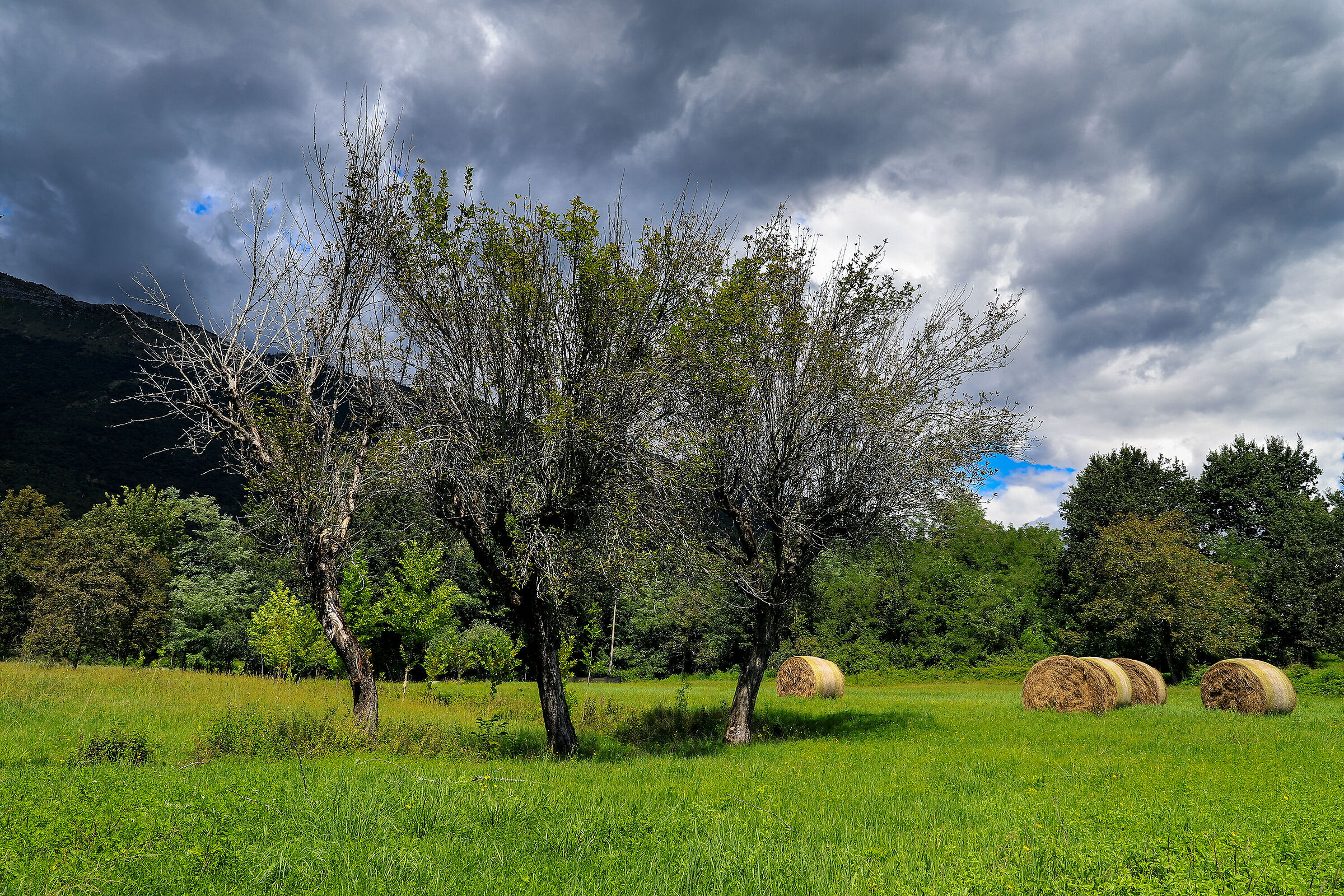 The spectacle of nature