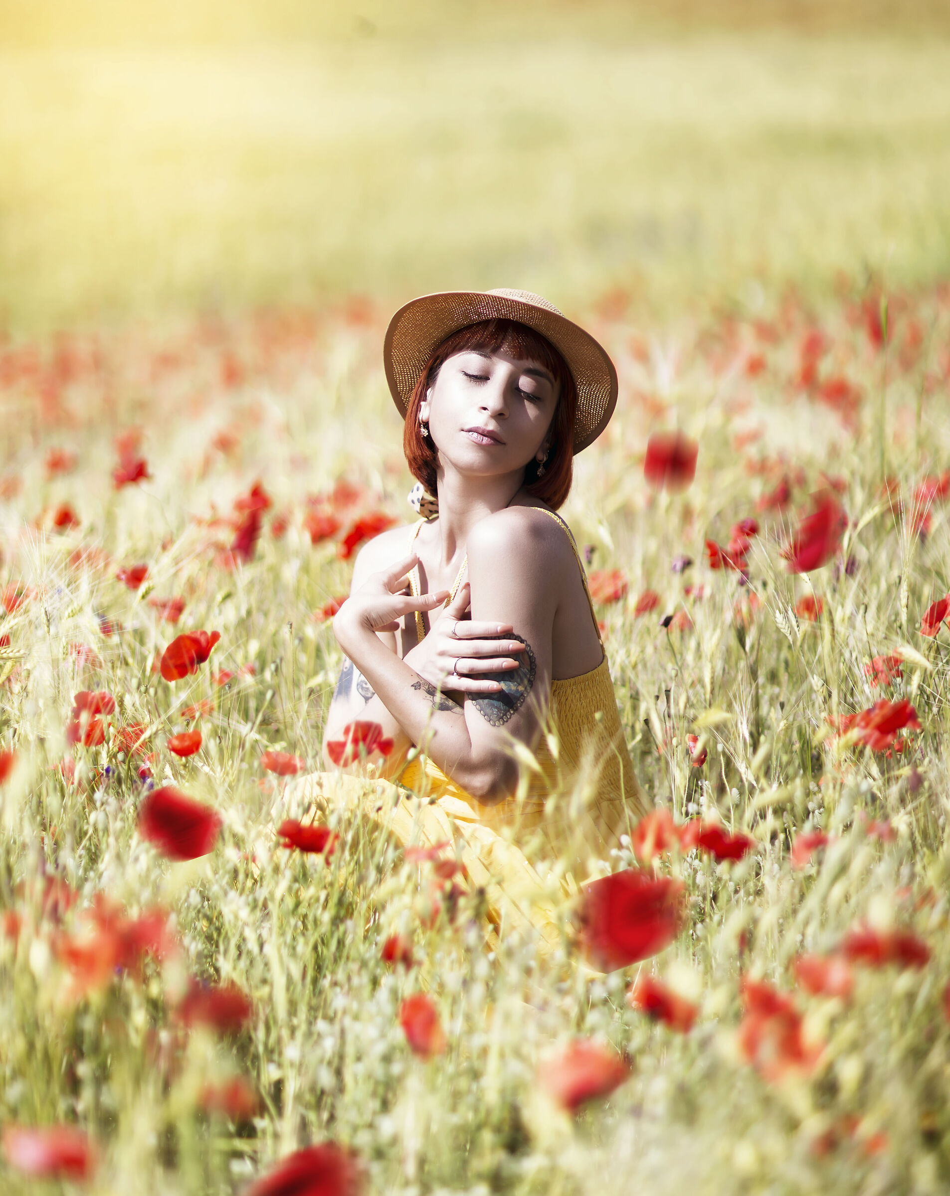 Un fiore fra i Papaveri