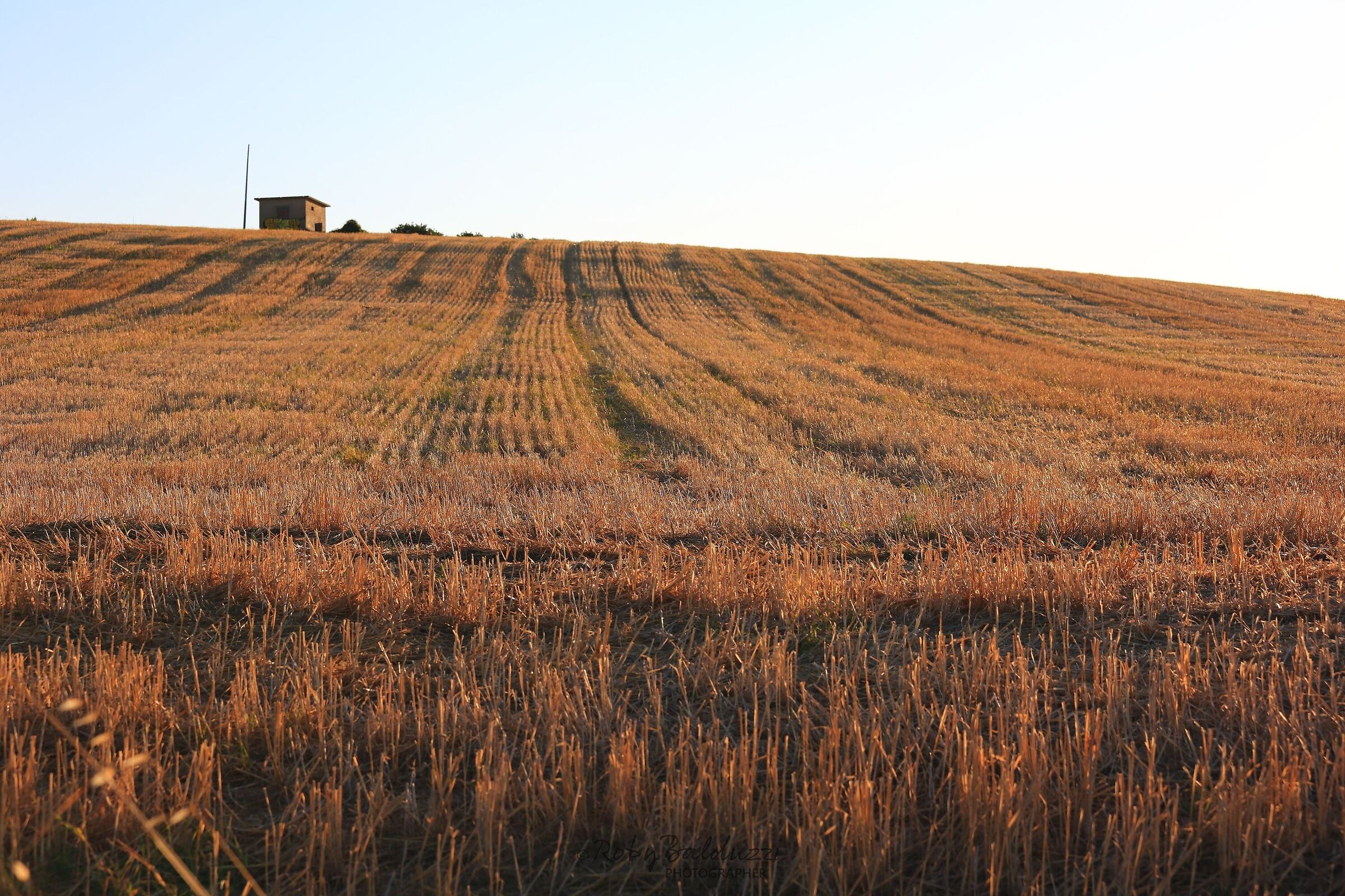 Marche countryside