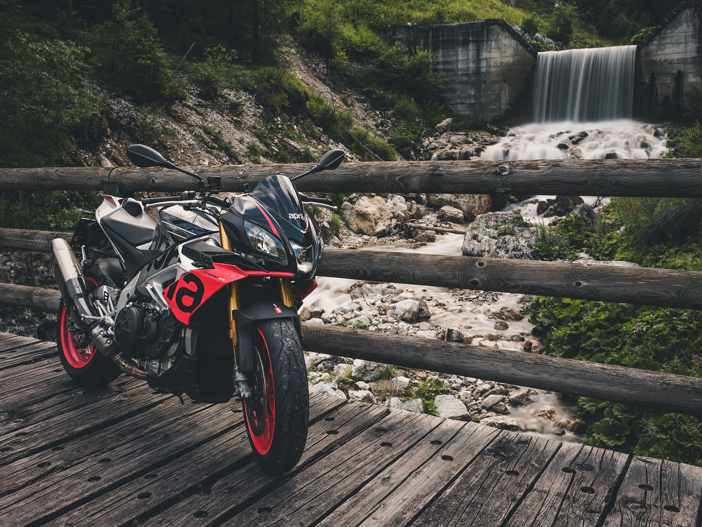 Esplorando nuovi boschi