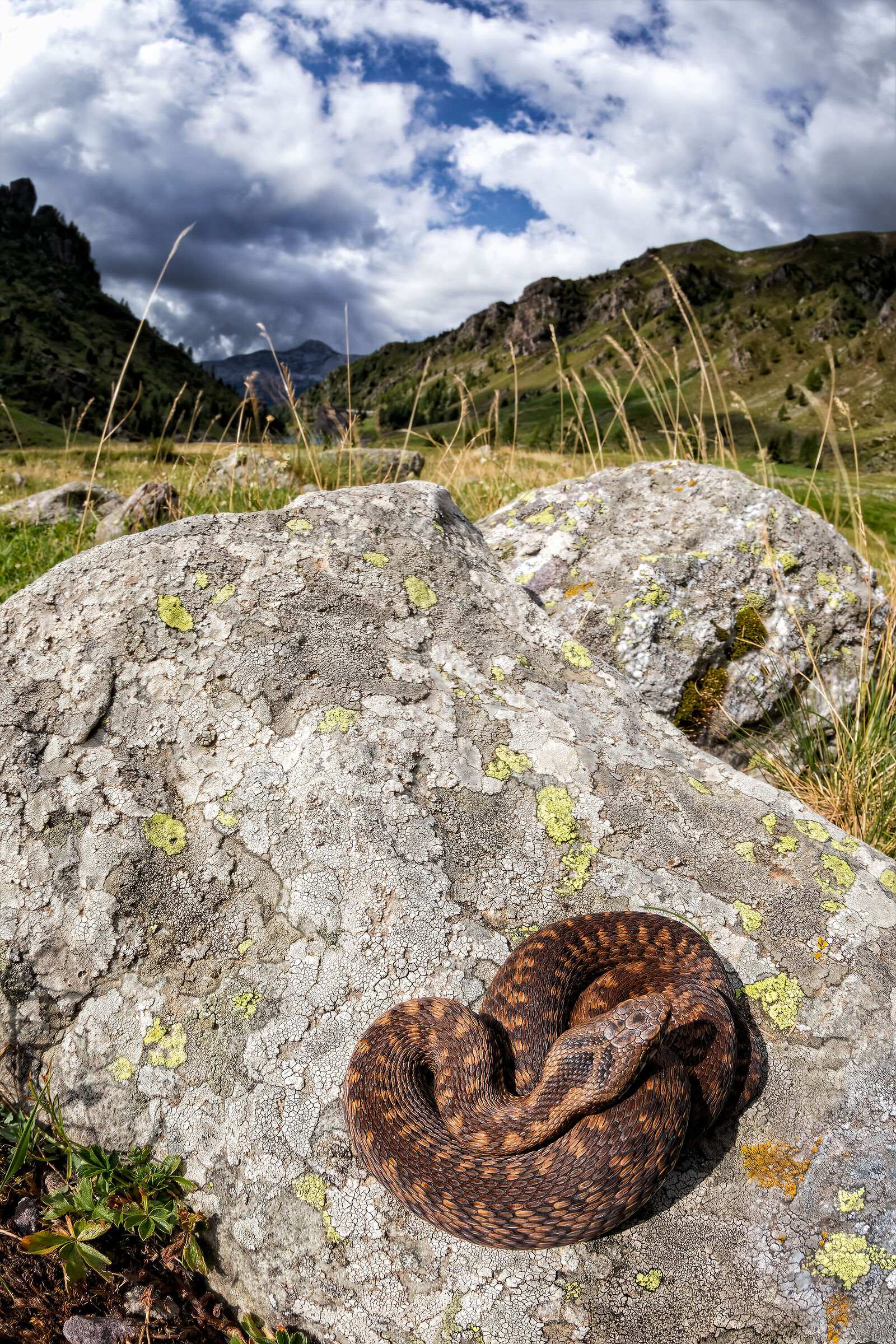 Assaporando gli ultimi timidi raggi di sole...