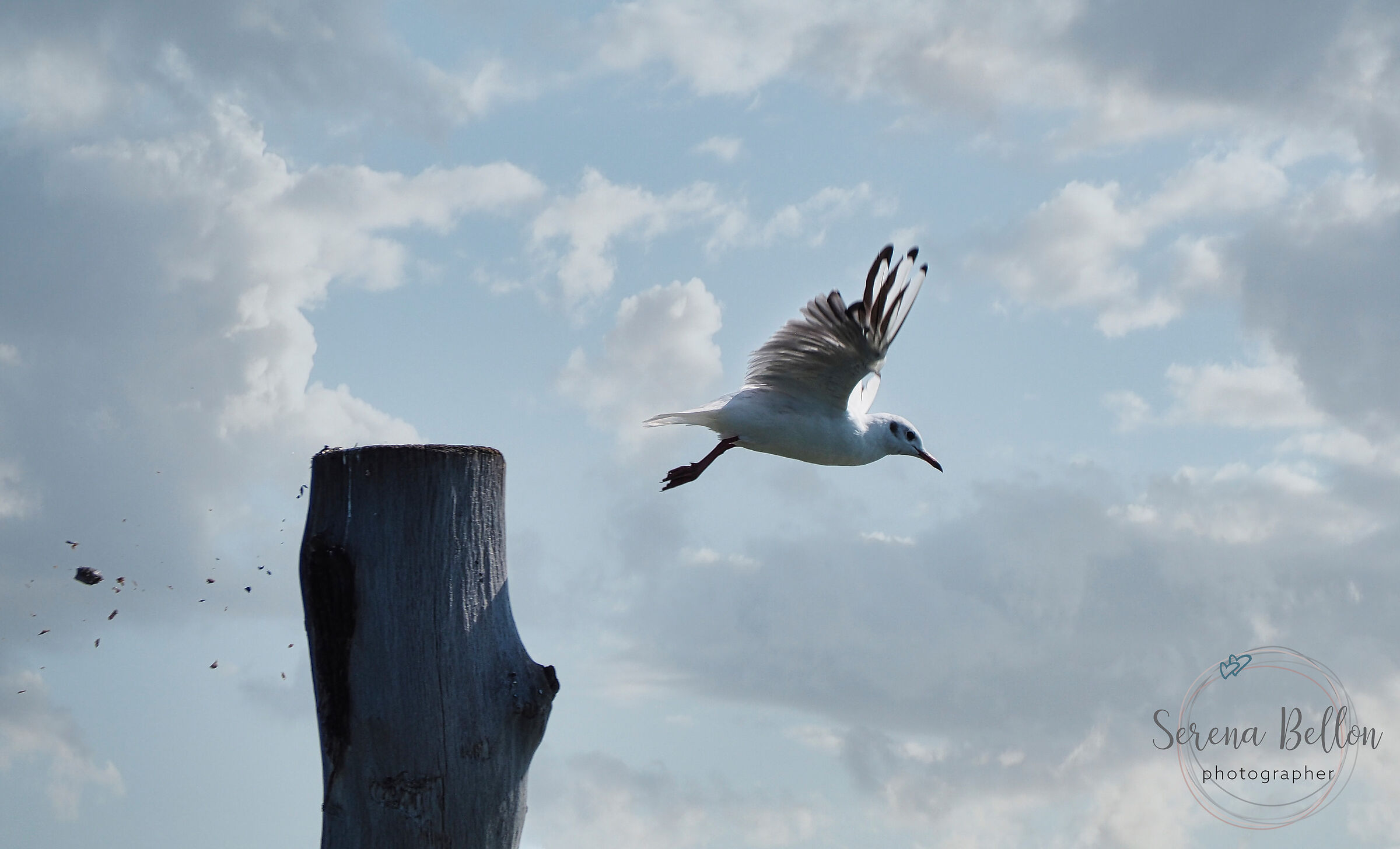 la partenza e il volo