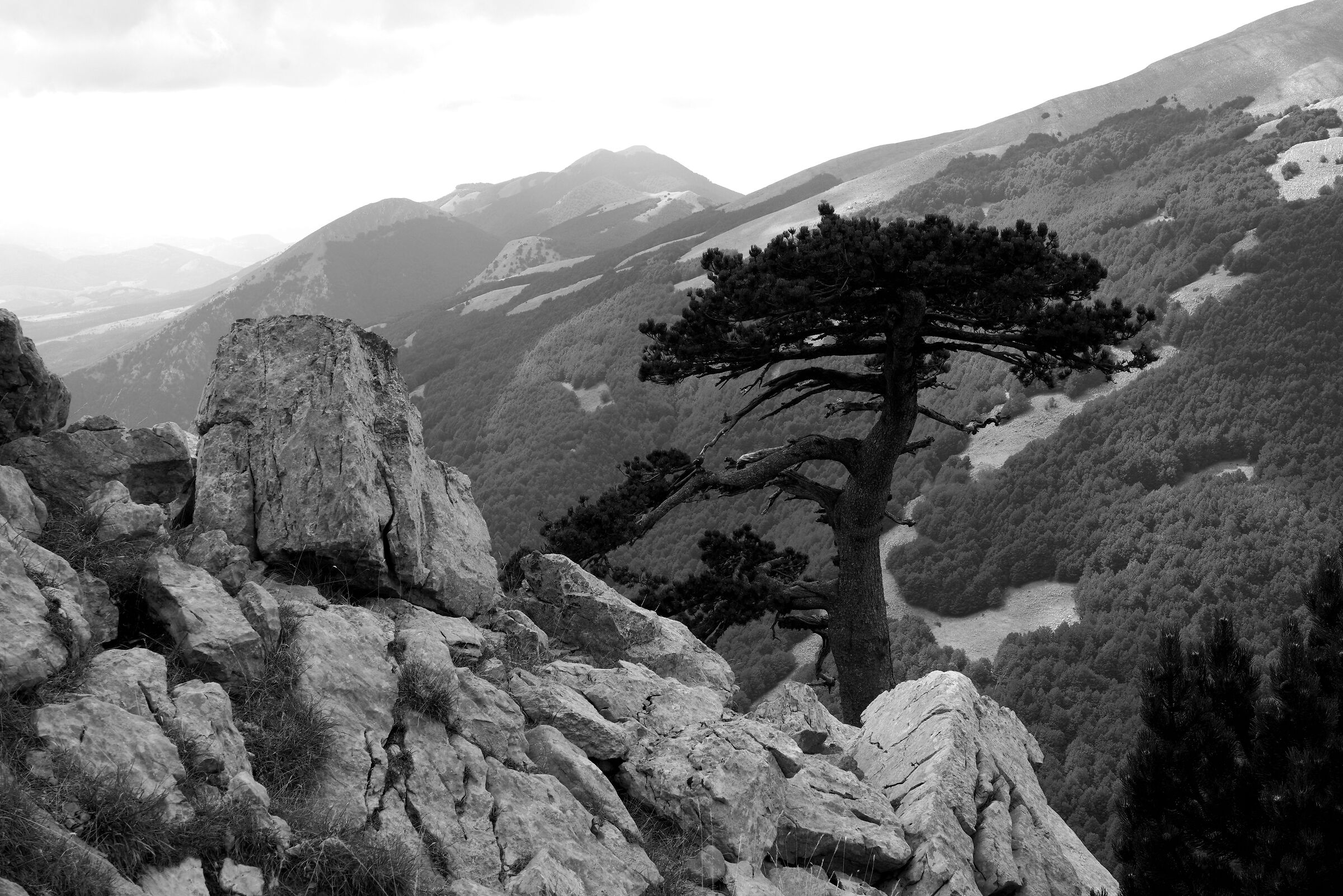 Parco nazionale del Pollino