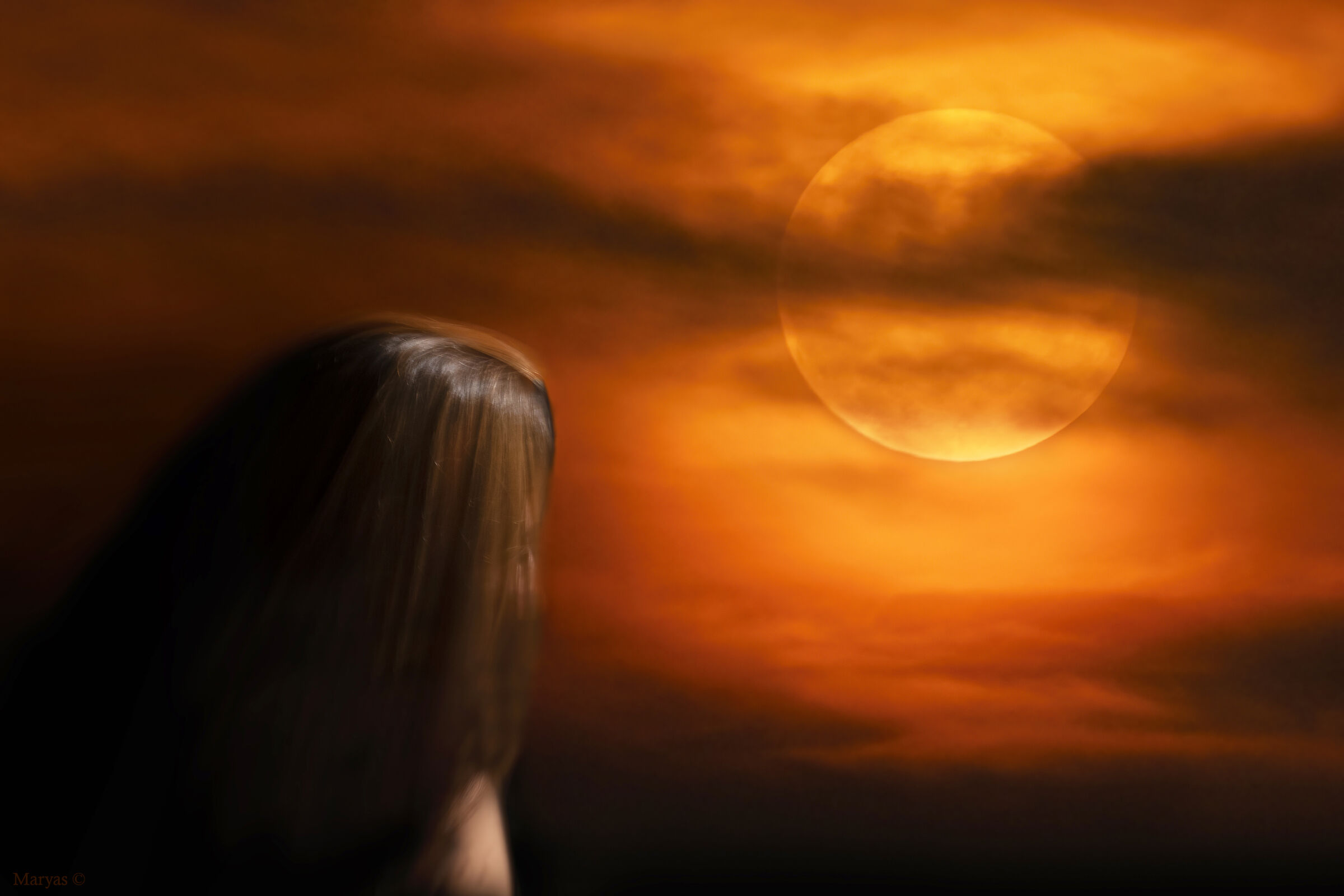 Guardando l'alba della notte