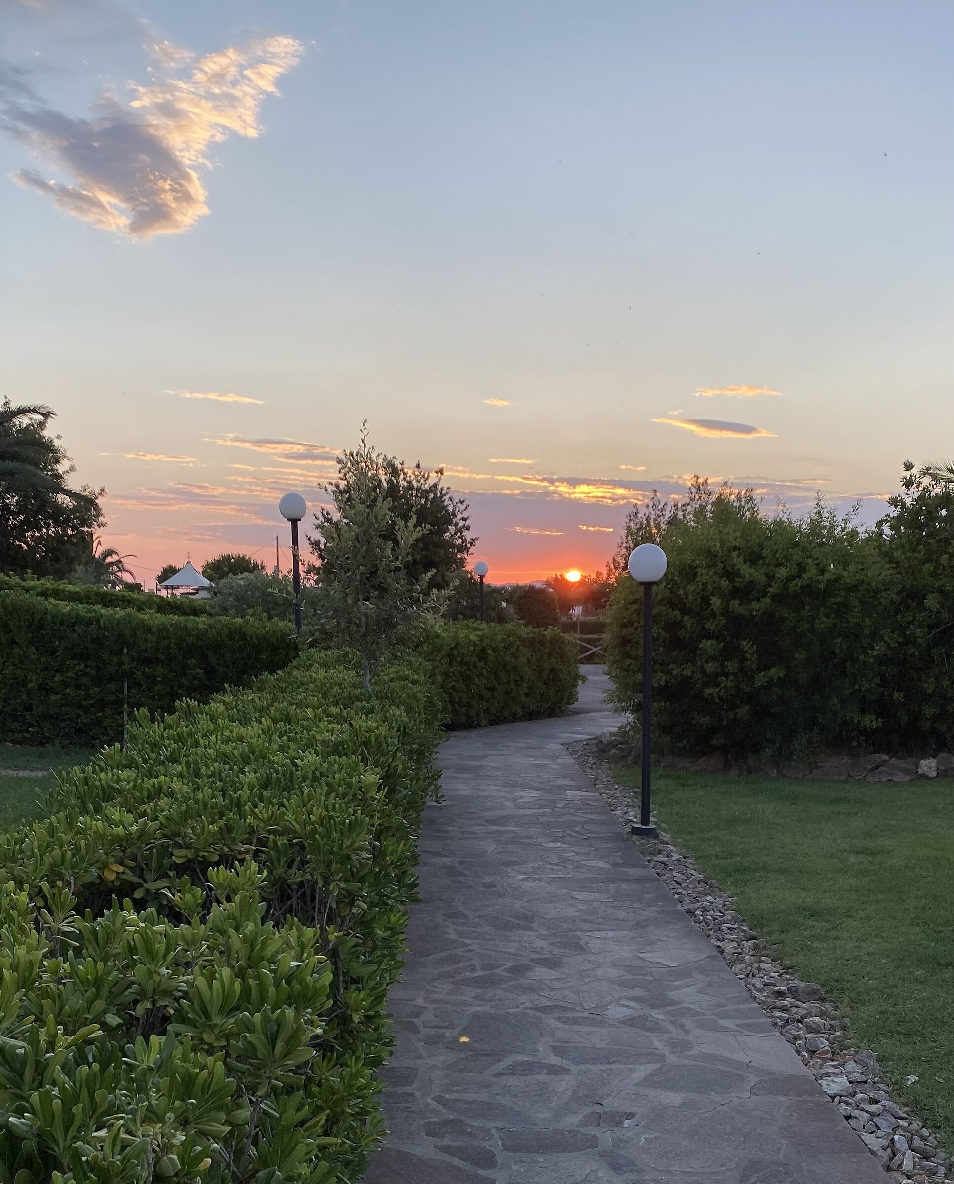 The avenue of sunsets