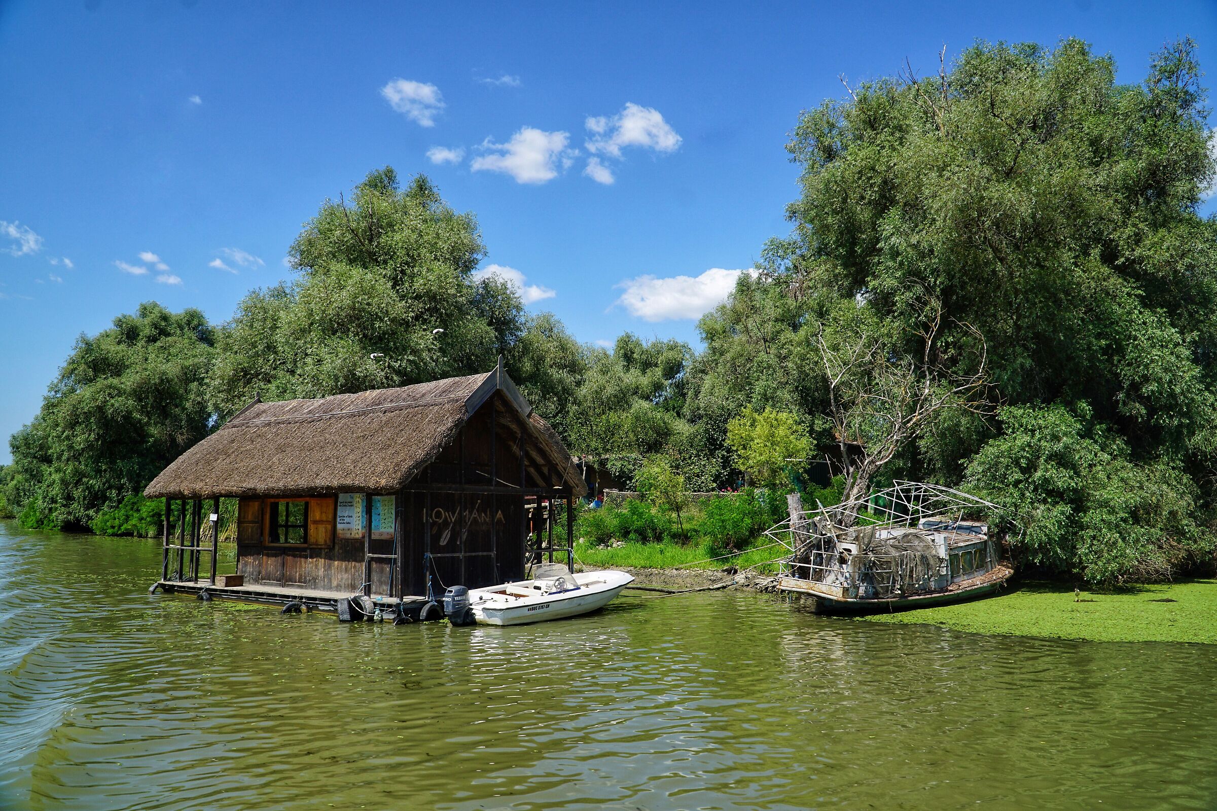The Danube Delta
