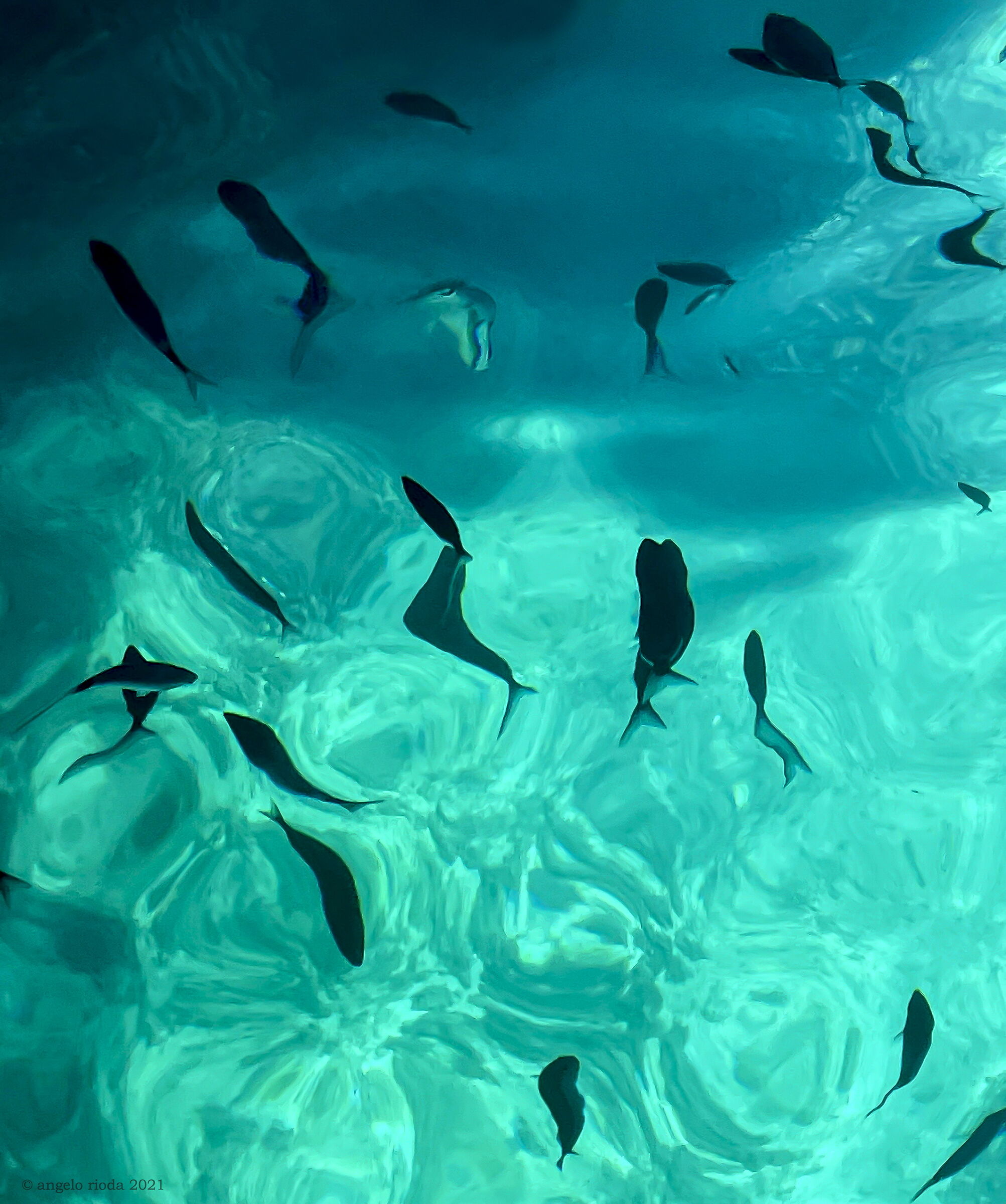 Grotta delle Viole (Tremiti)