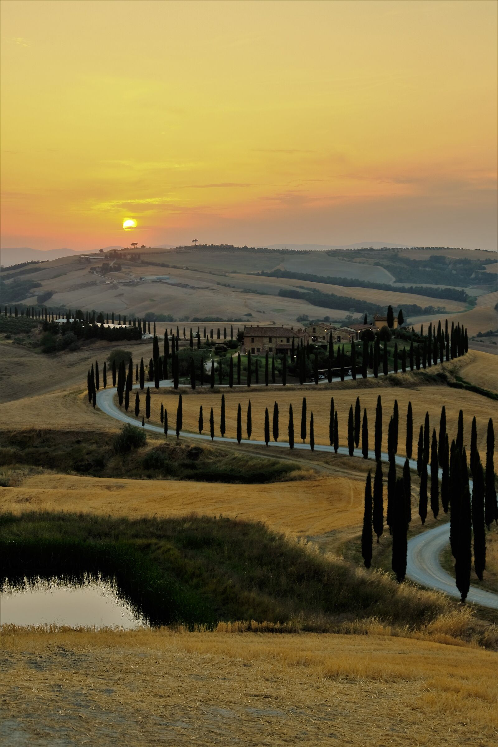 Viale di Cipressi Asciano Siena
