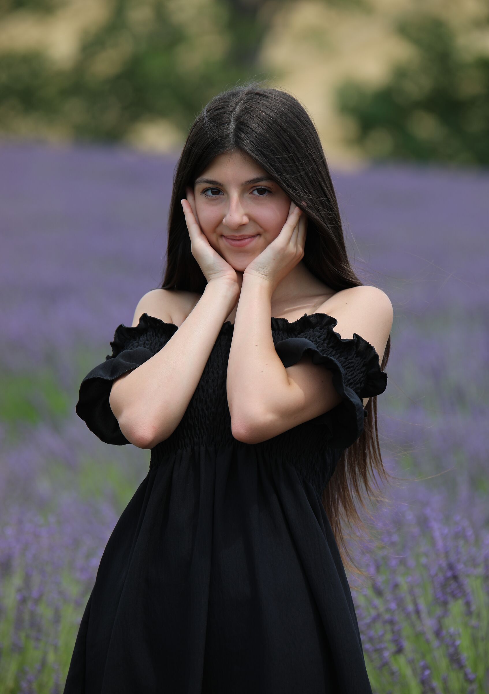 The model of the house