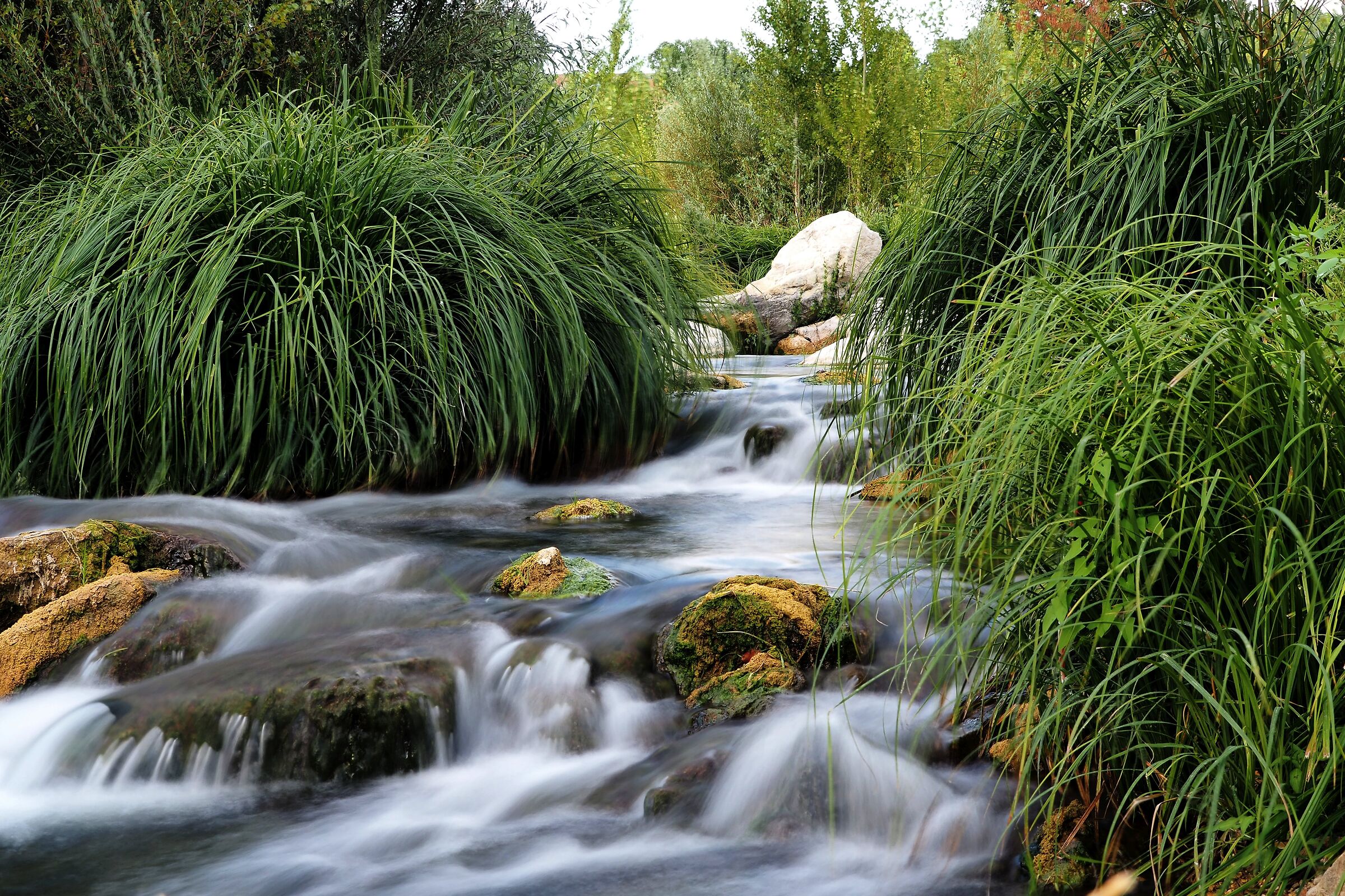 i fili della corrente