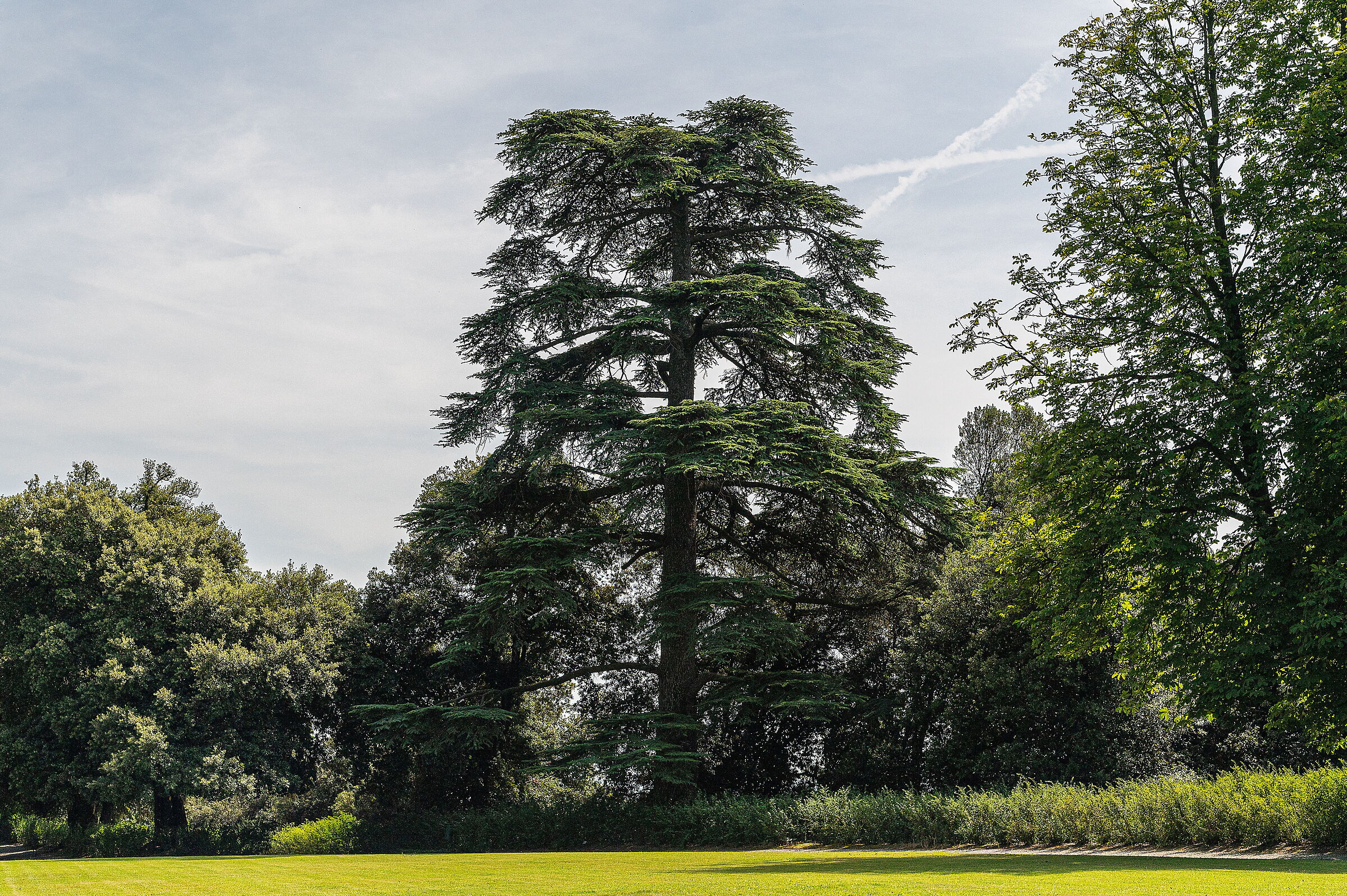 Il parco del Castello di Masino