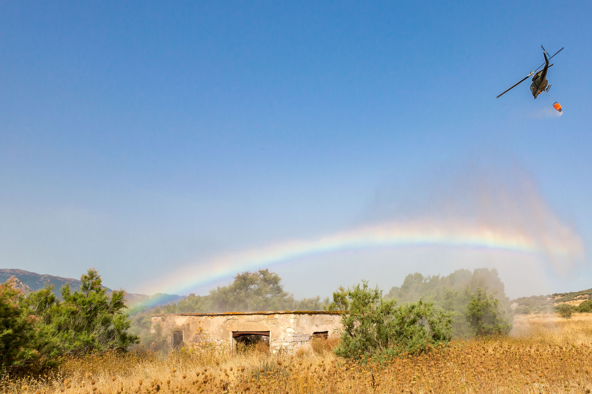 AB 212 Rainbow Release