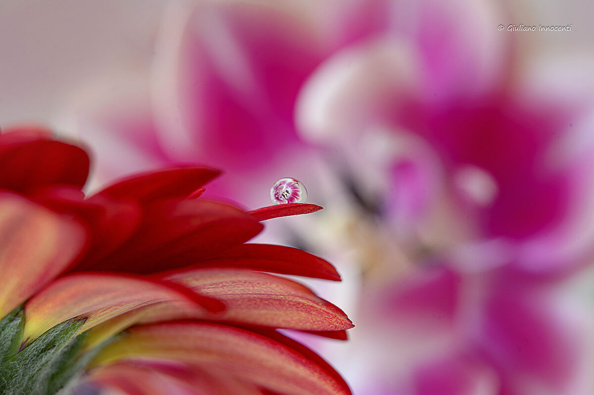 a small drop