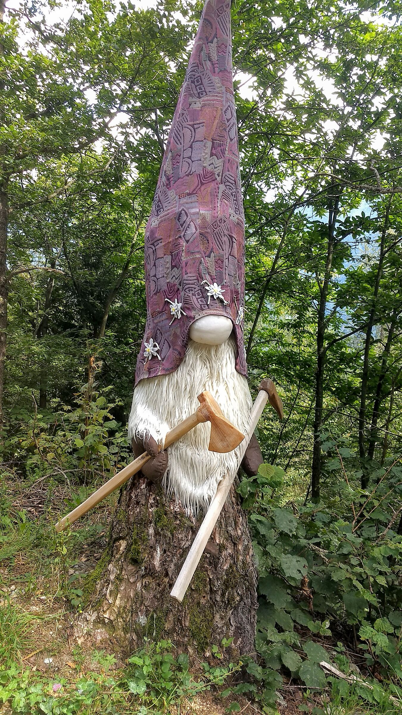 Strani avvistamenti nel bosco 1