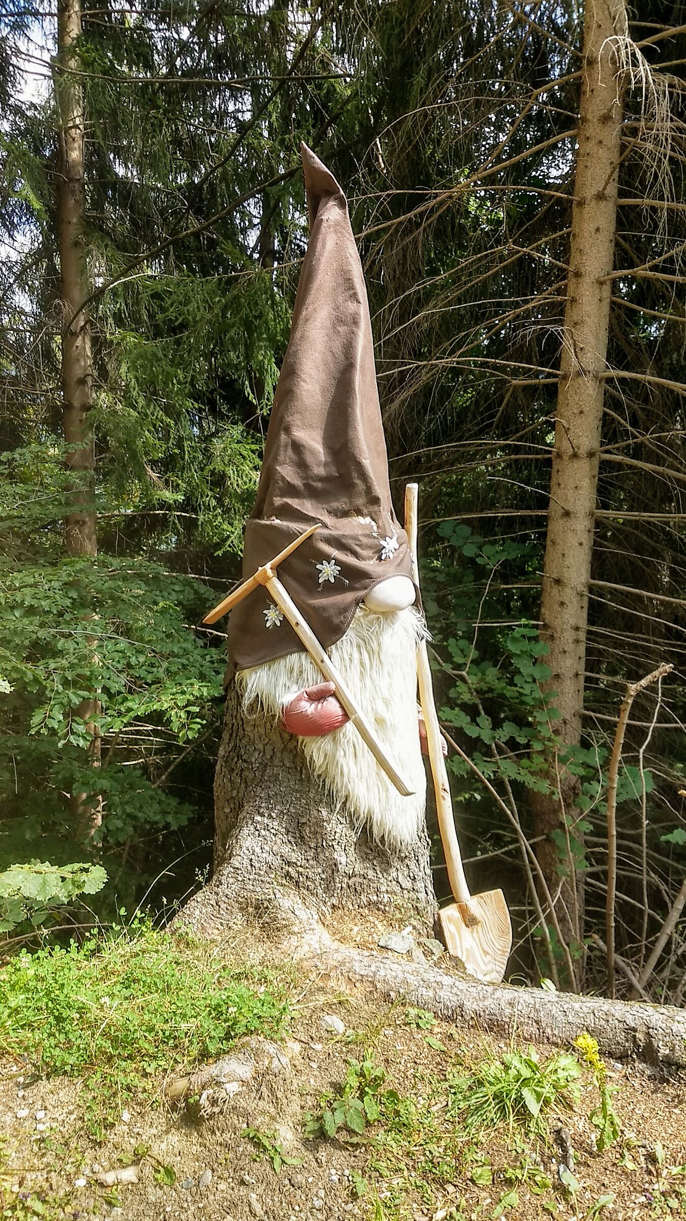 Strani avvistamenti nel bosco 2