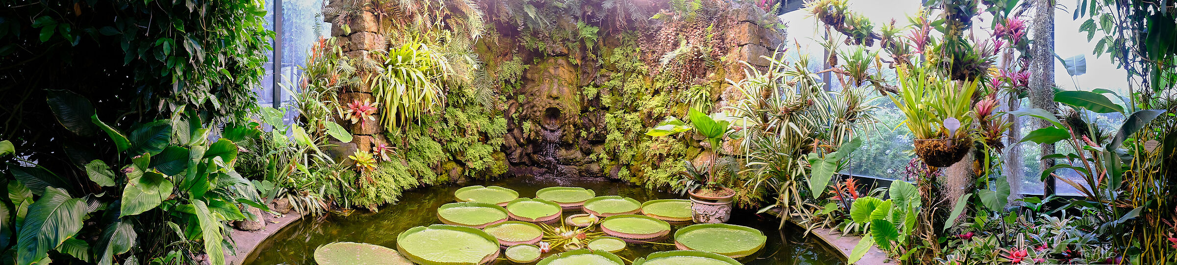 Giardini William Waltom