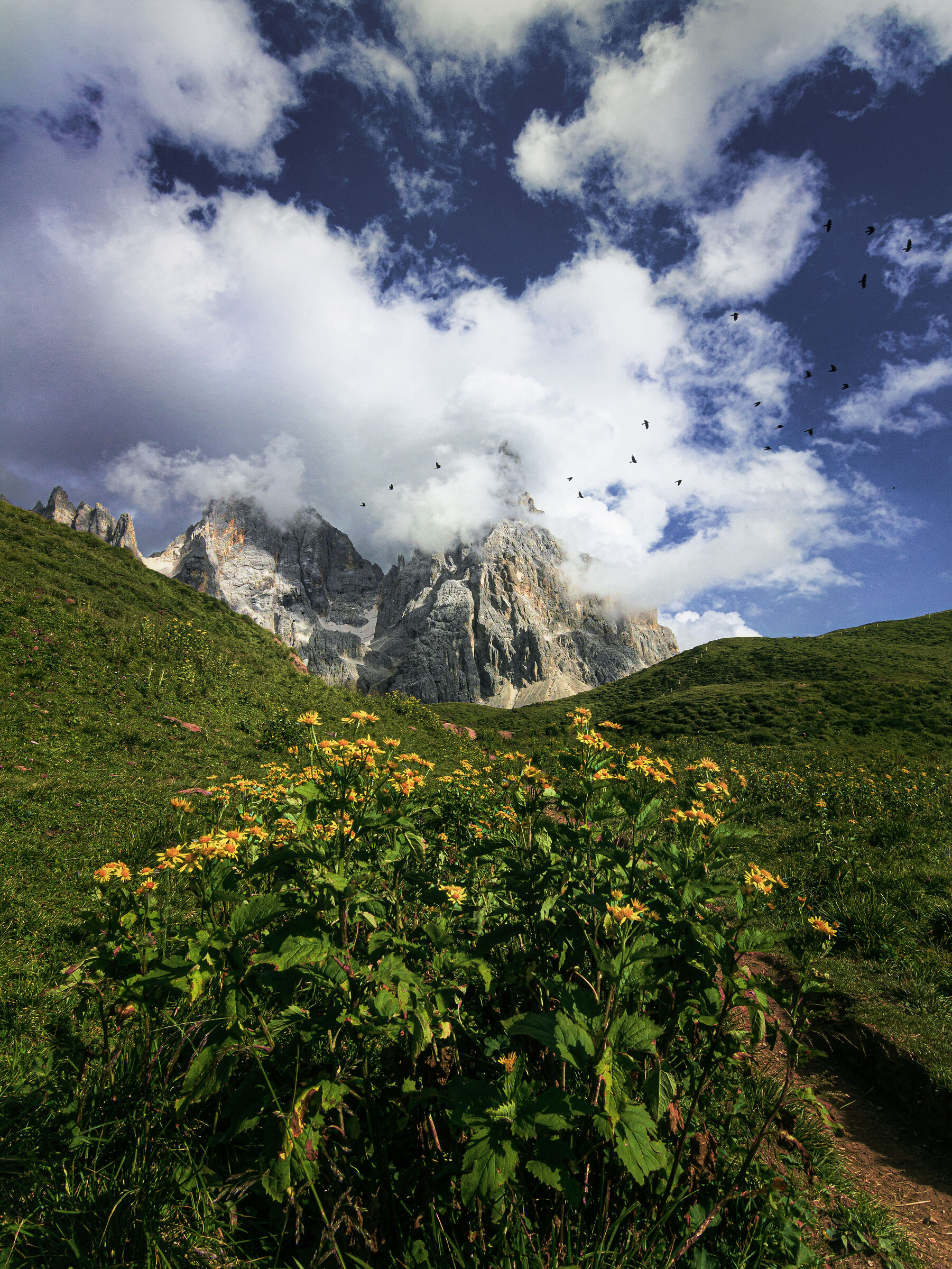 Prospettiva Naturale