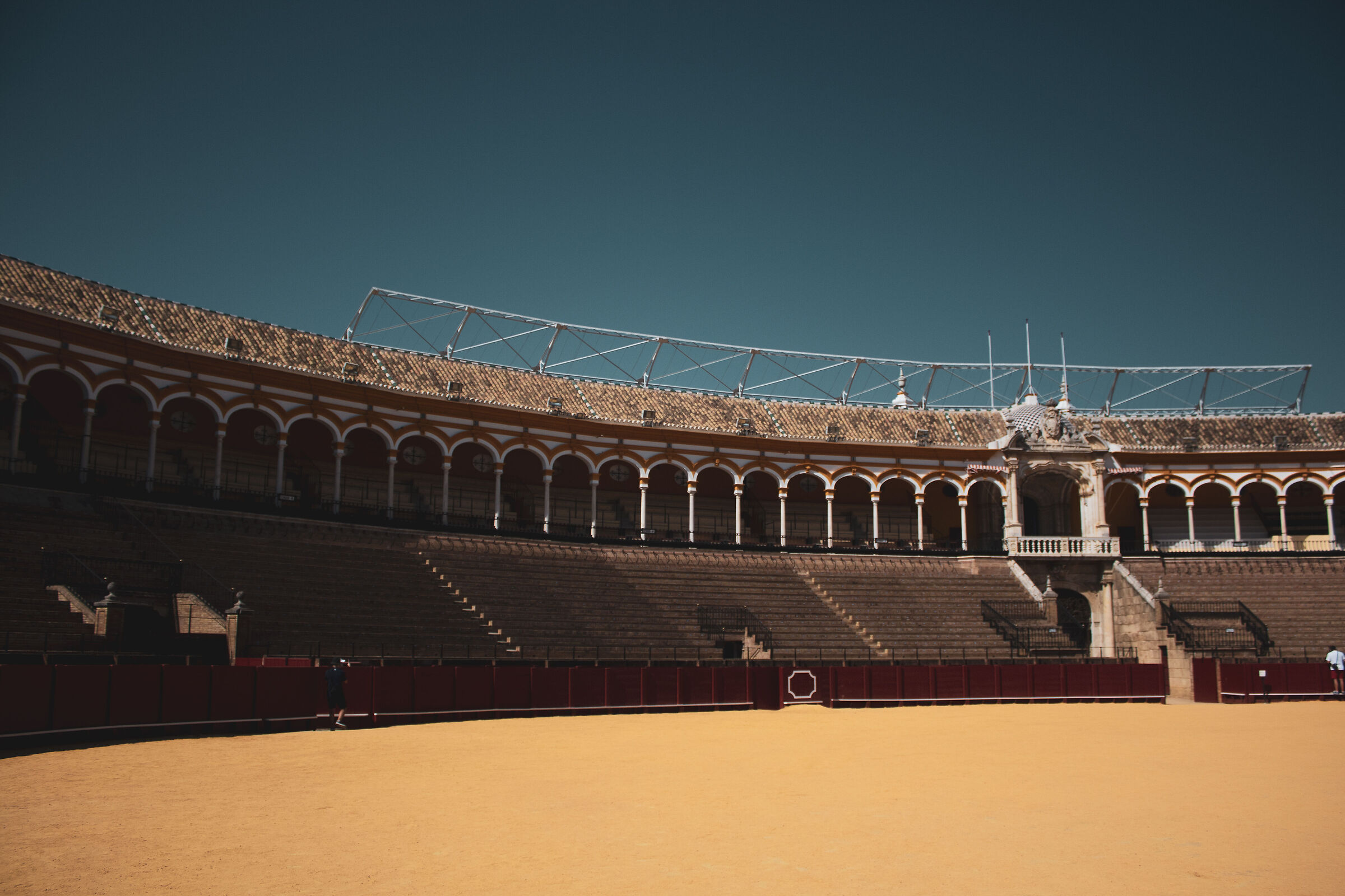 Bullfight