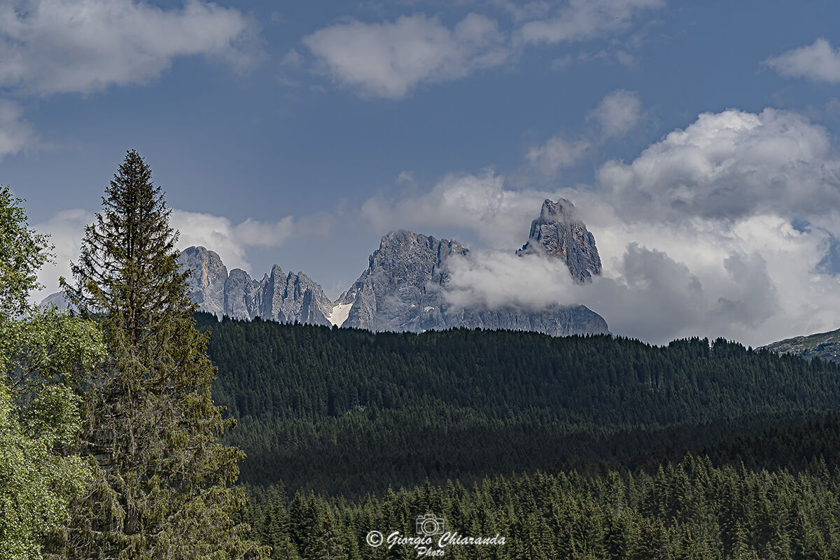 Group blades of S, Martino