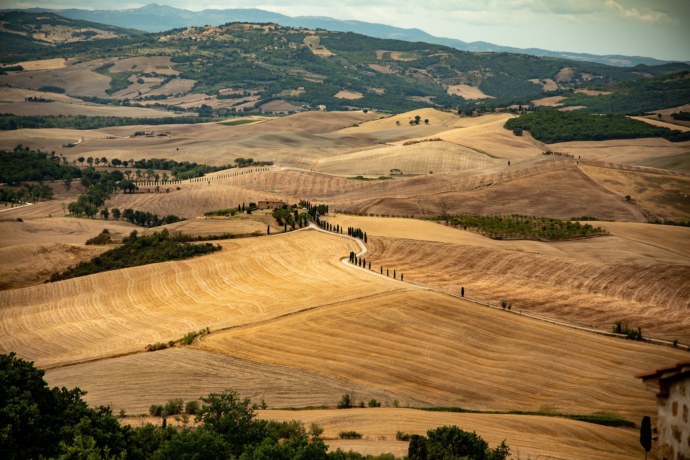 Pienza - campi elisi
