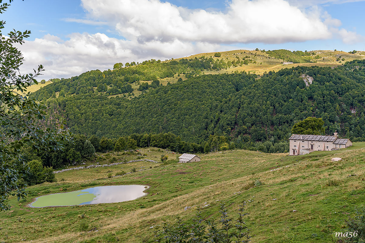 Lessinia - St. George