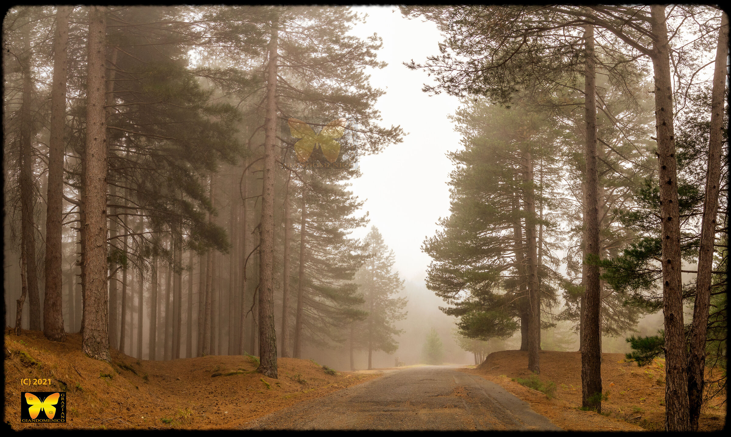 First fog in summer...!!!