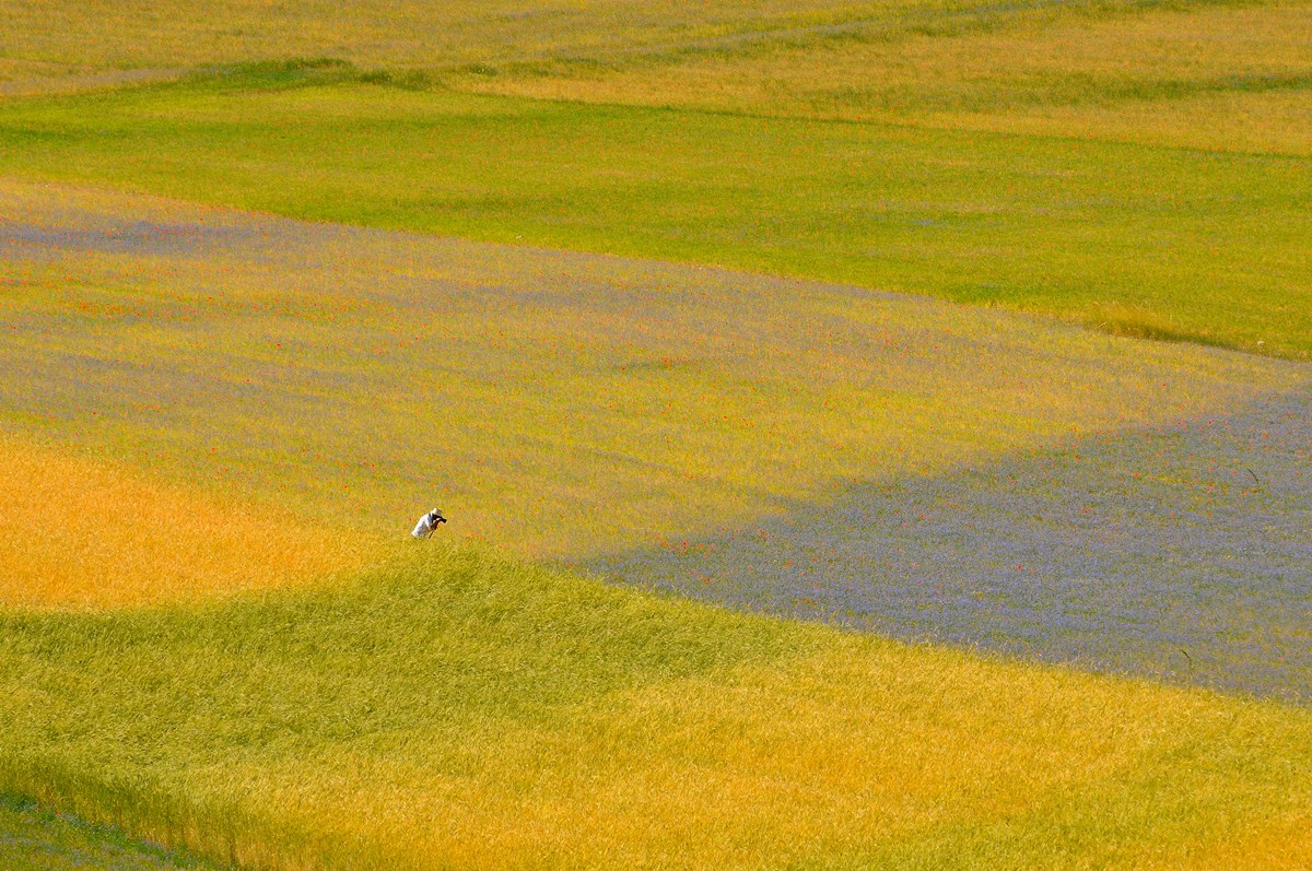 The apex of the photographer