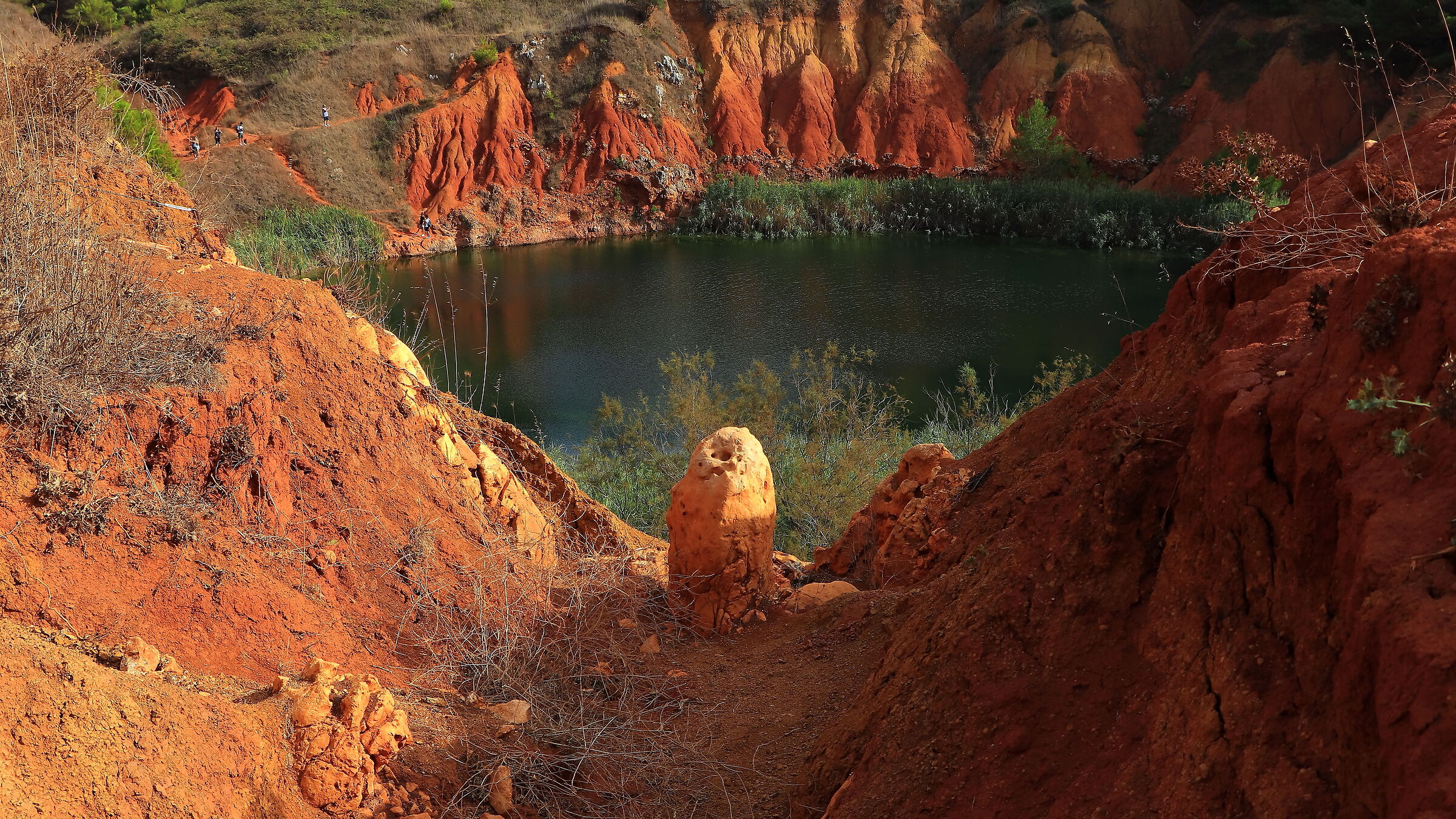 Ogni riferimento è puramente casuale