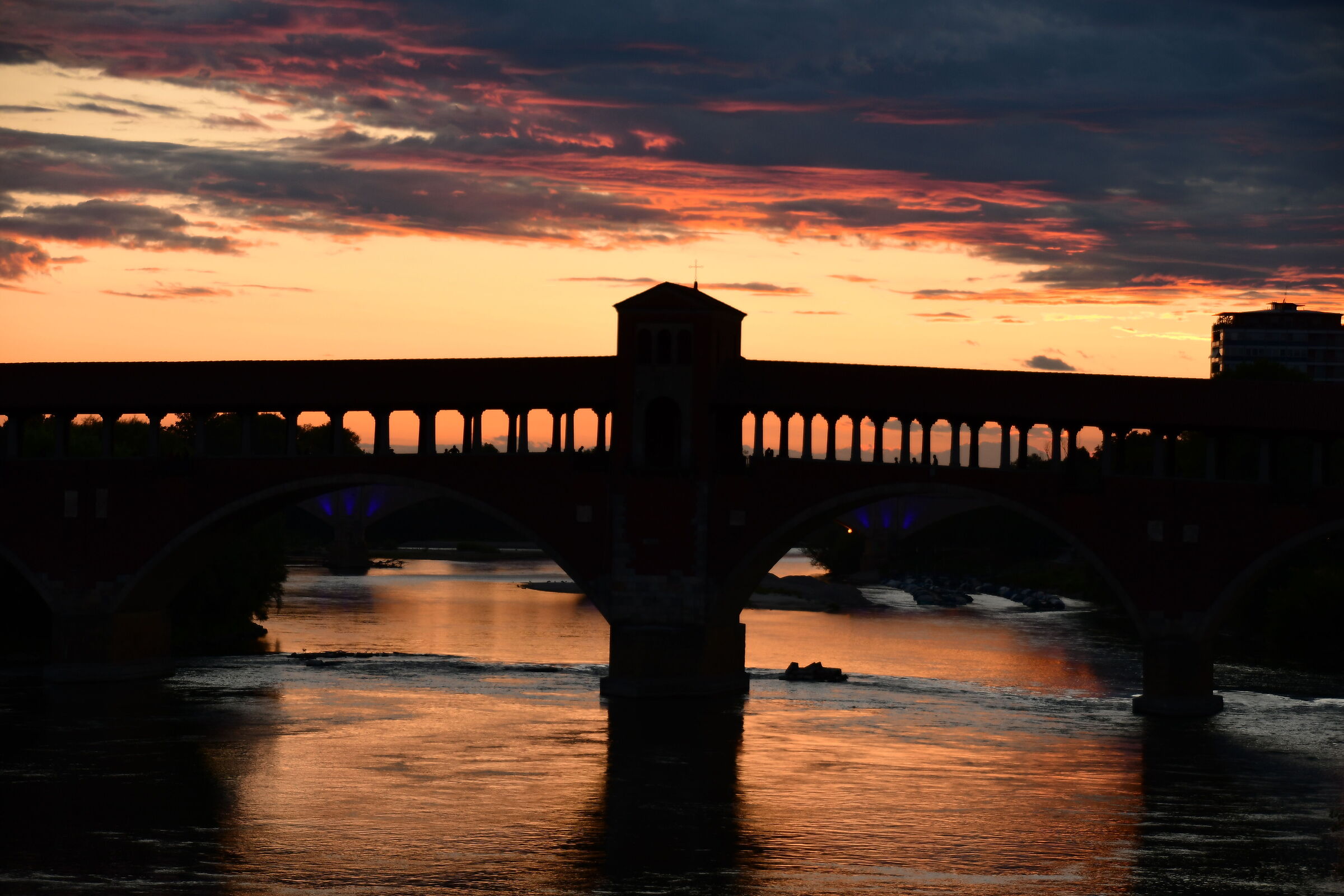 Pavia - Ticino dorato