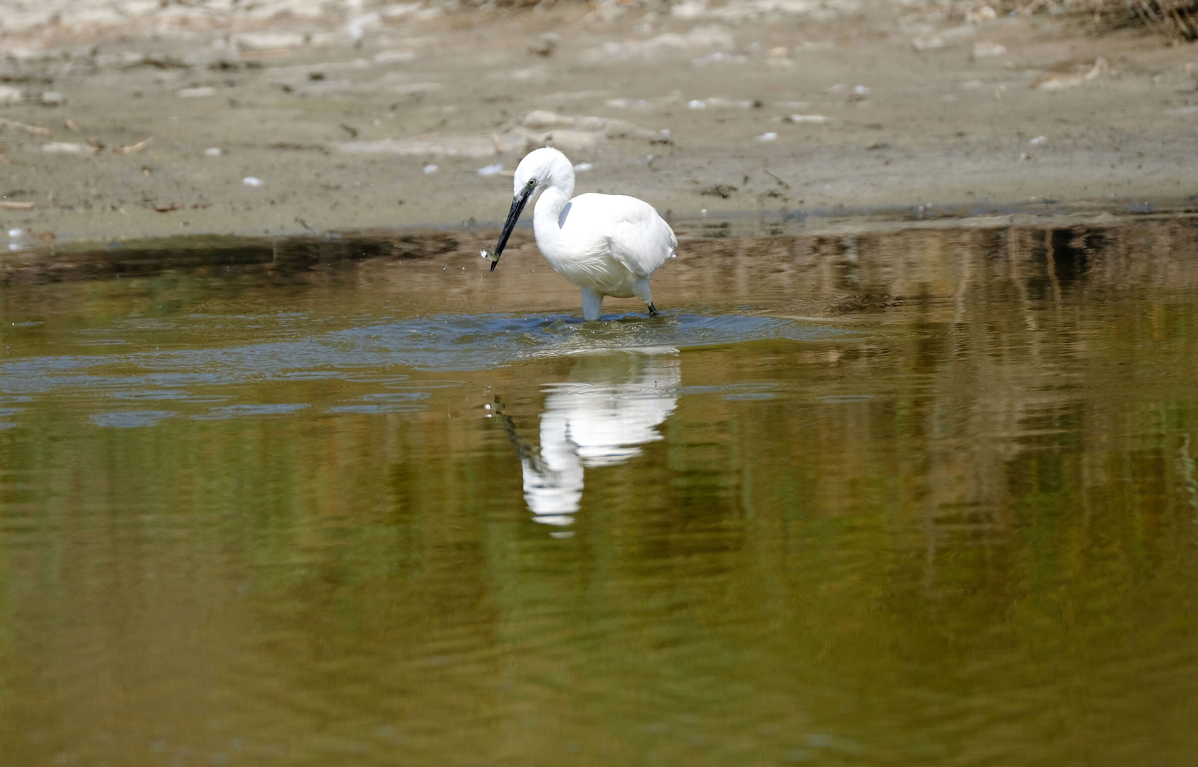 È l'ora dello spuntino