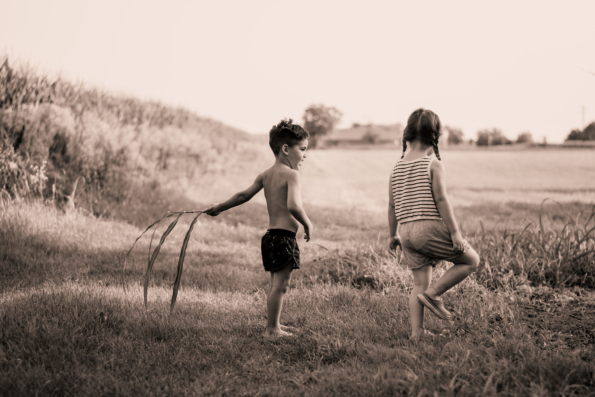 Piccole storie di campagna