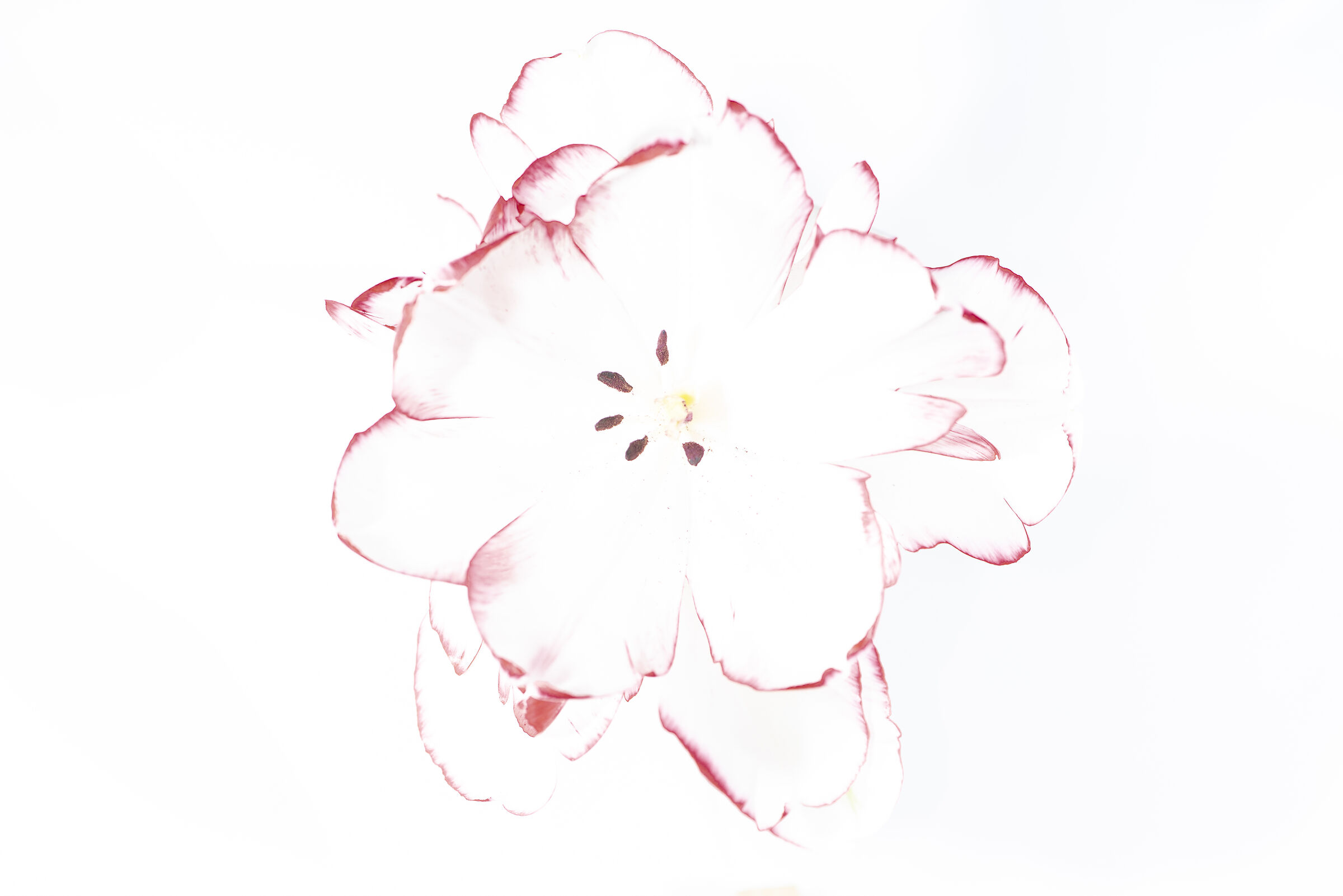 a sketch (b version)