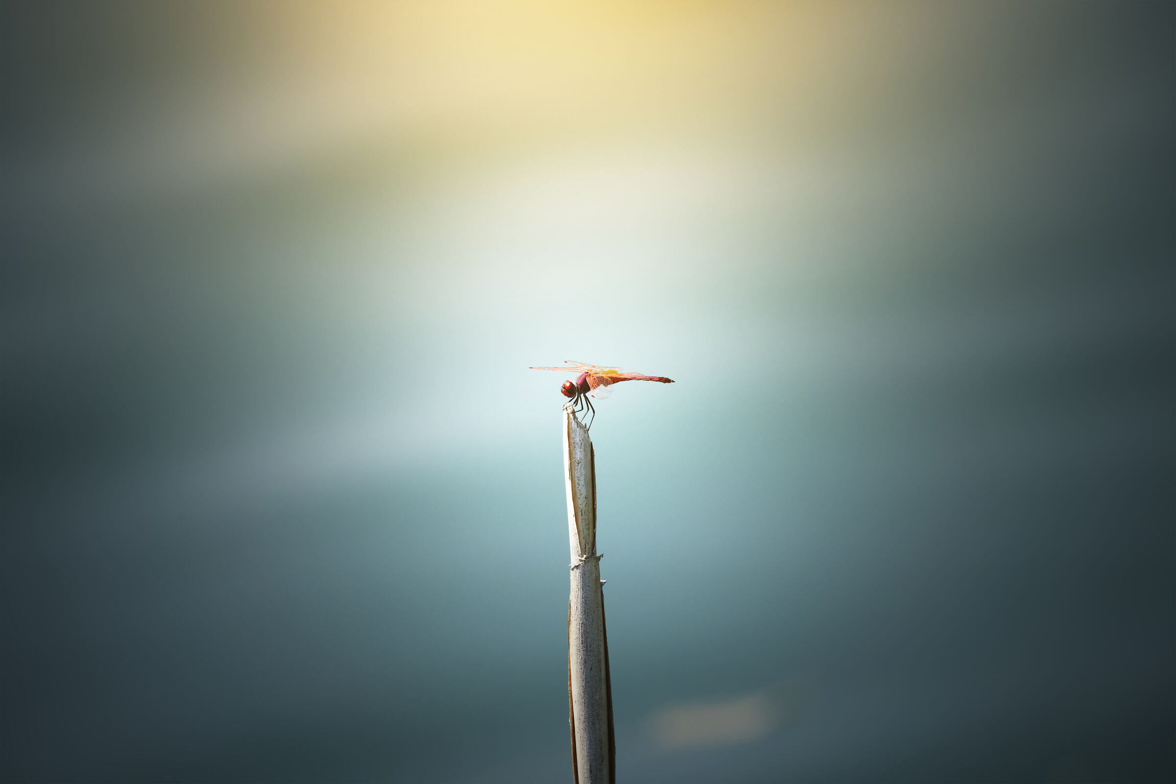 Untitled Photo