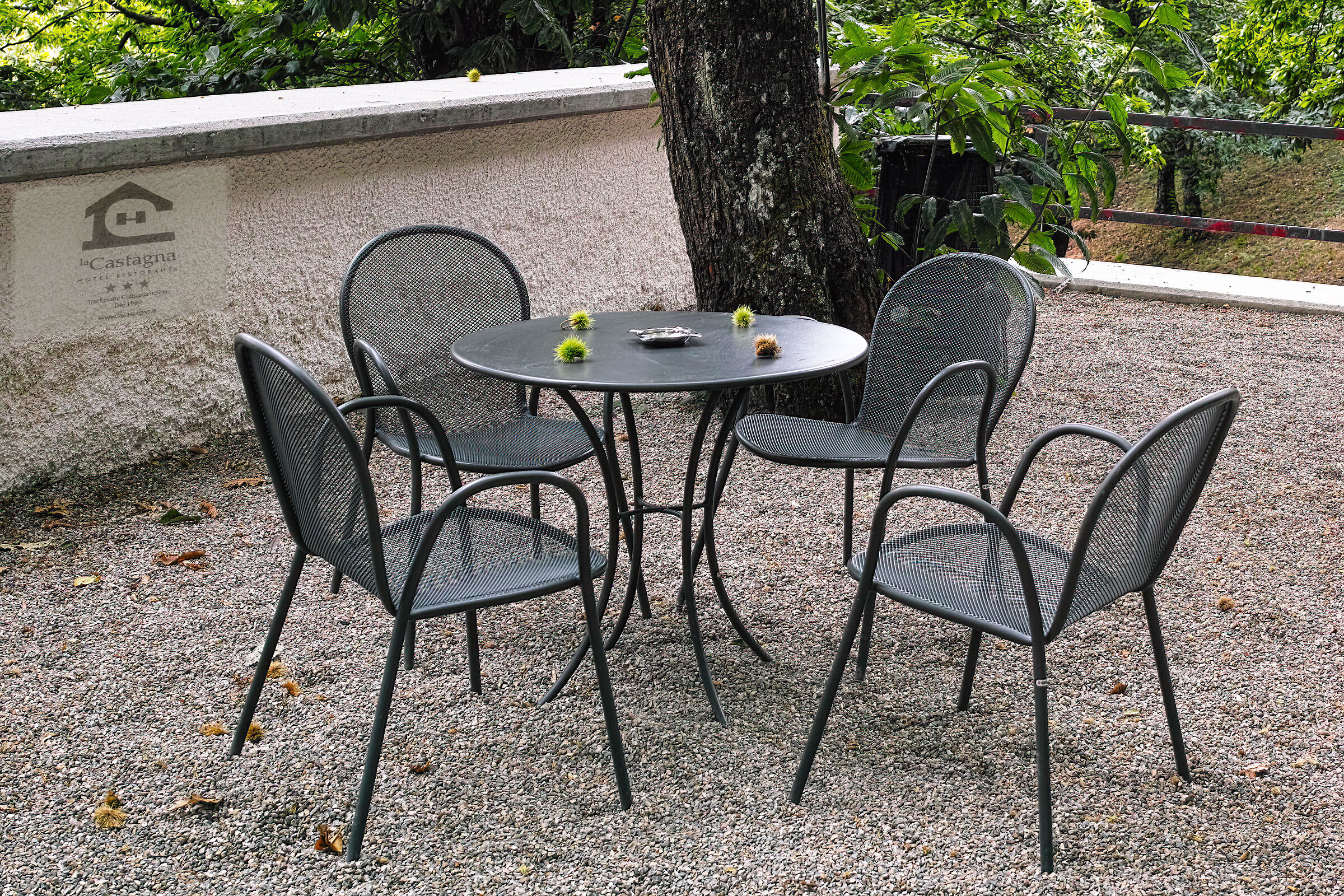 four young friends (except one) at the bar