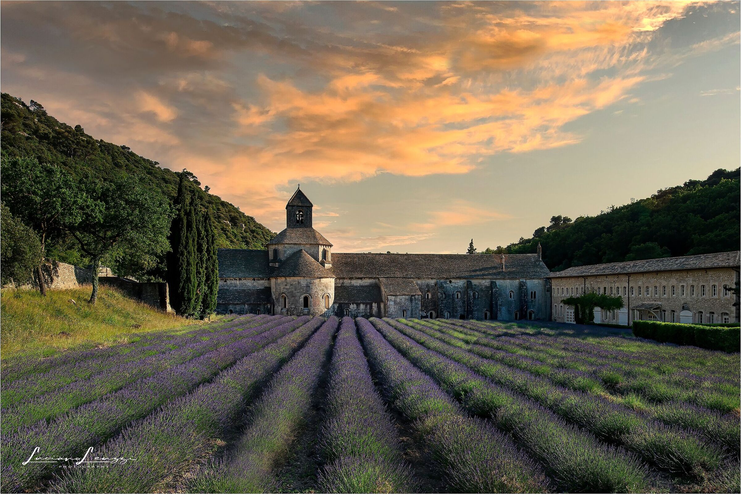 Abbazia di Senanque