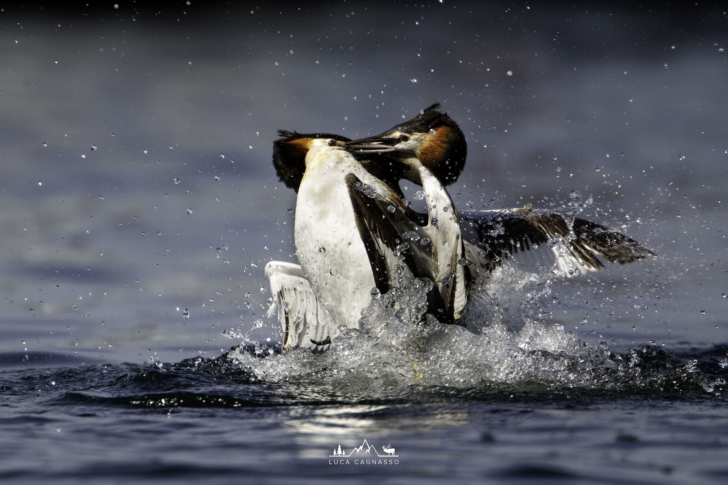 Fight on the water 02