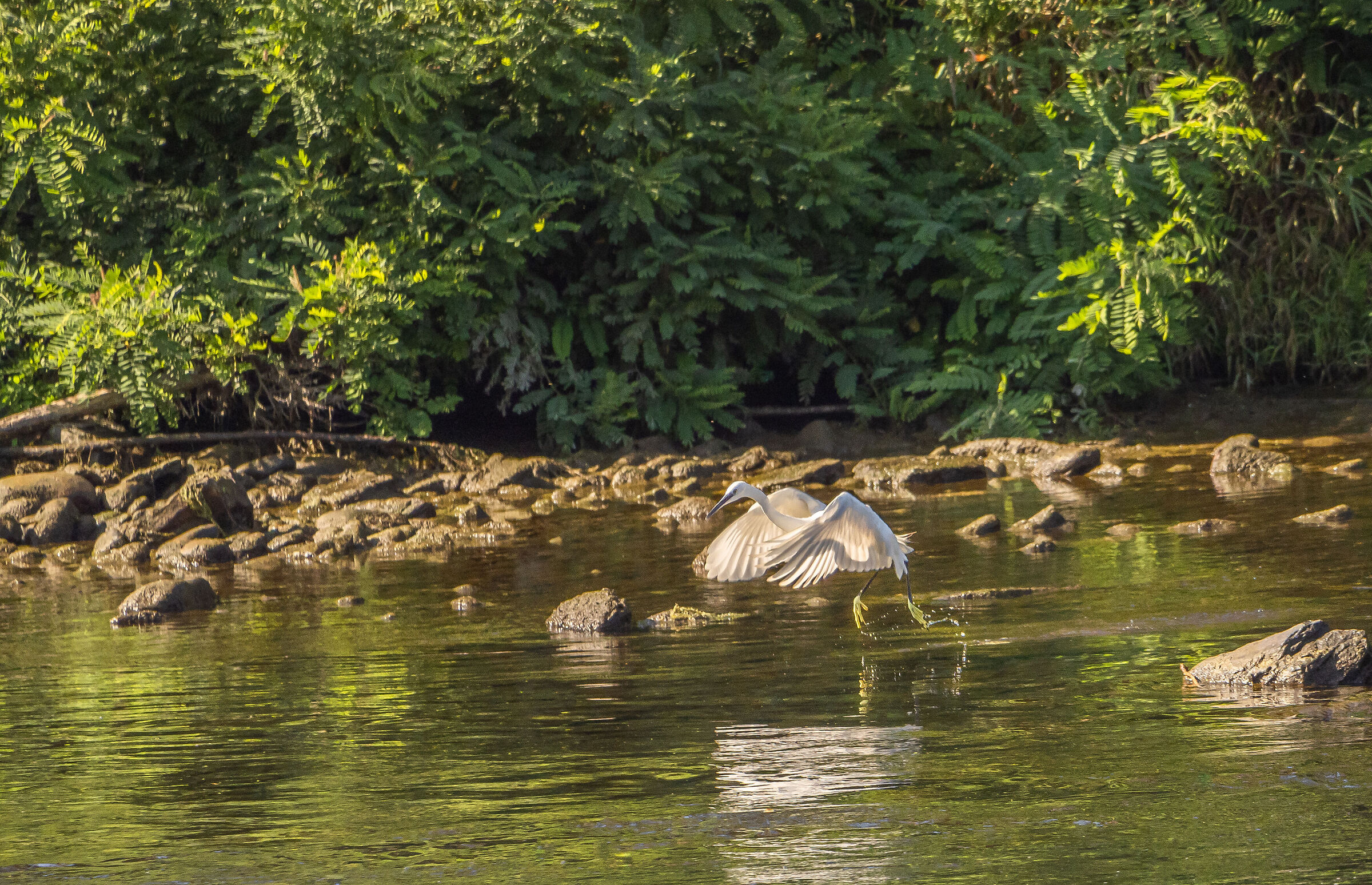 The detachment .....