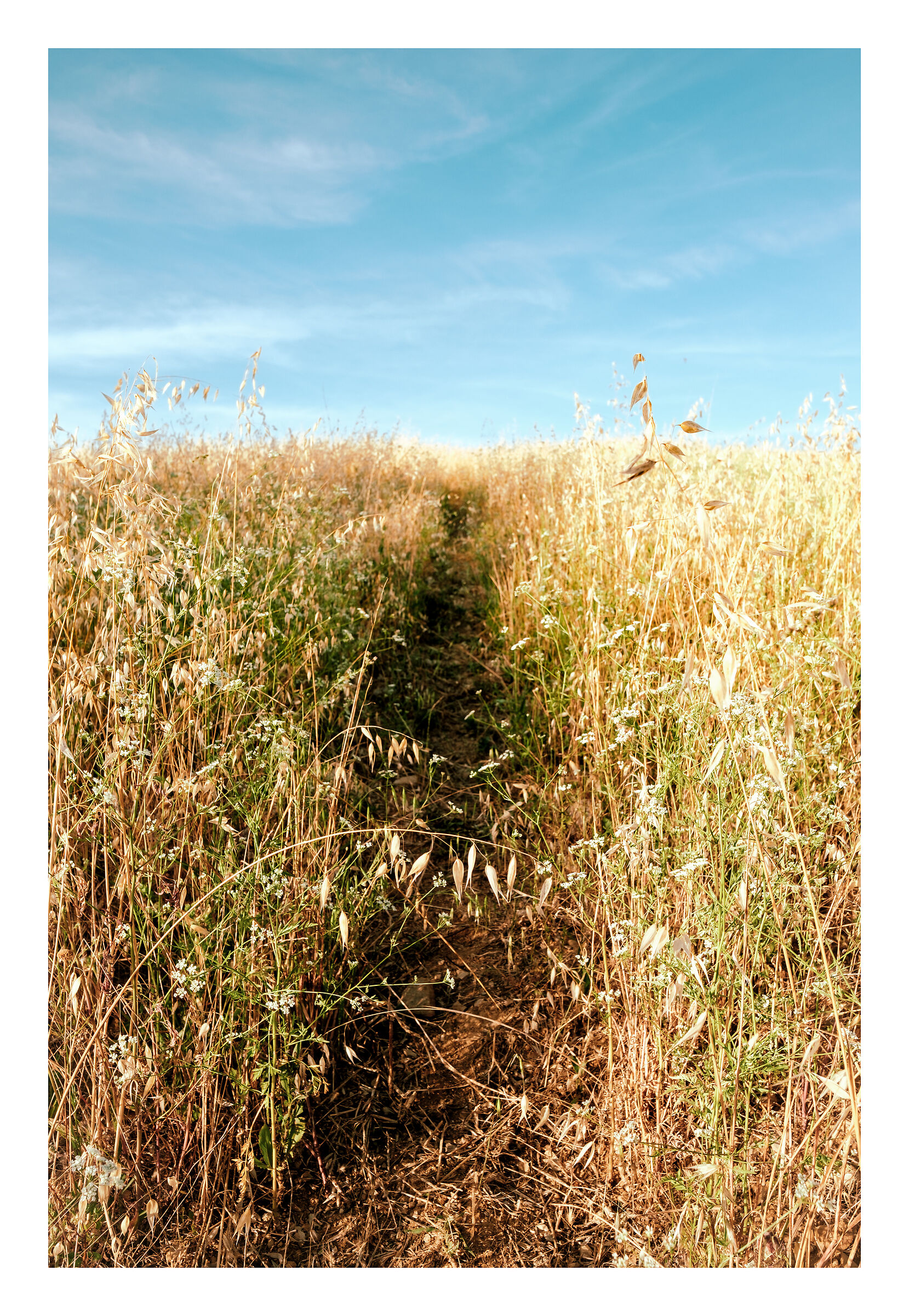 "Roads? Where we are going there is no need for roads!