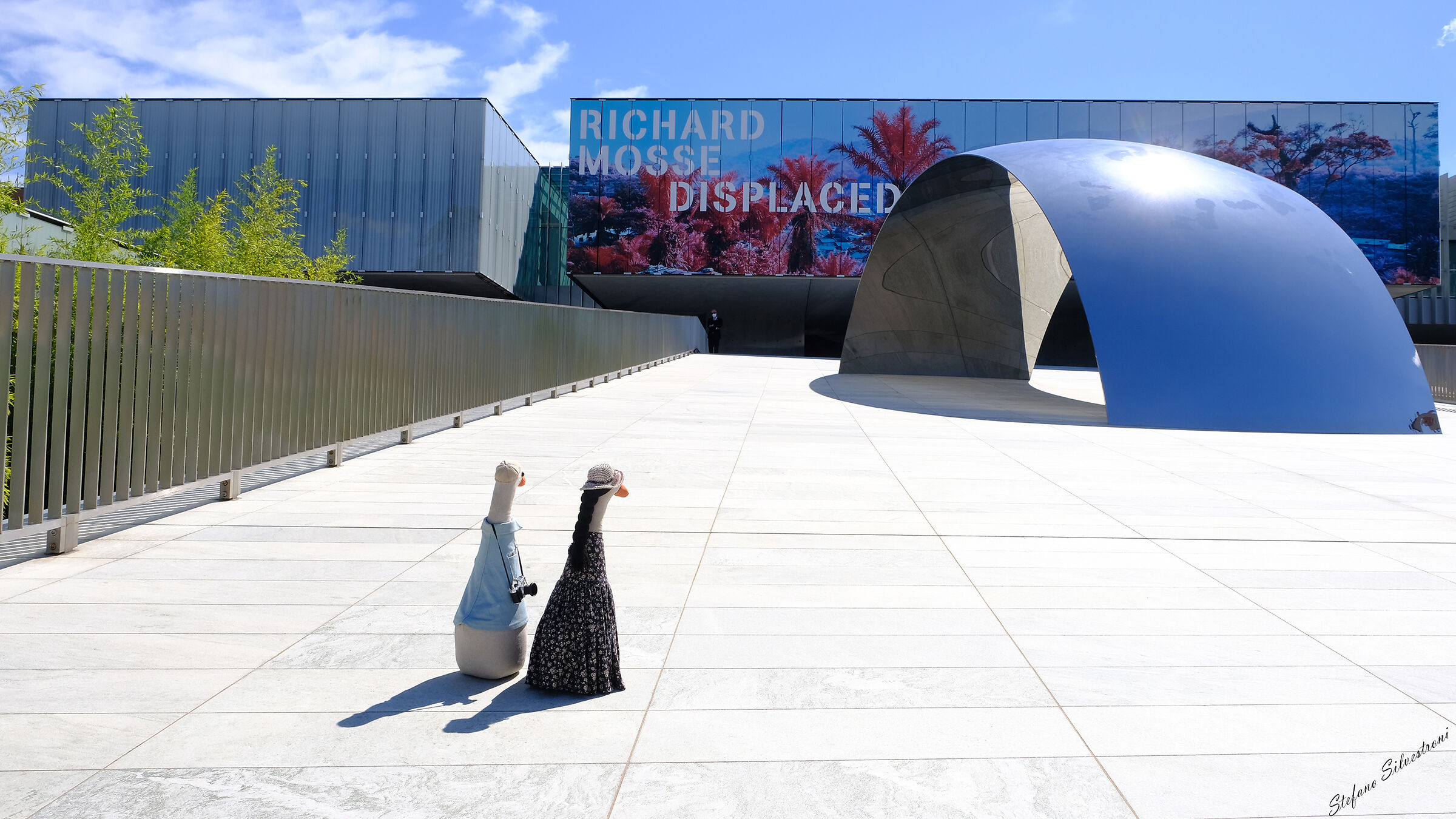 Tutti possono amare la fotografia...