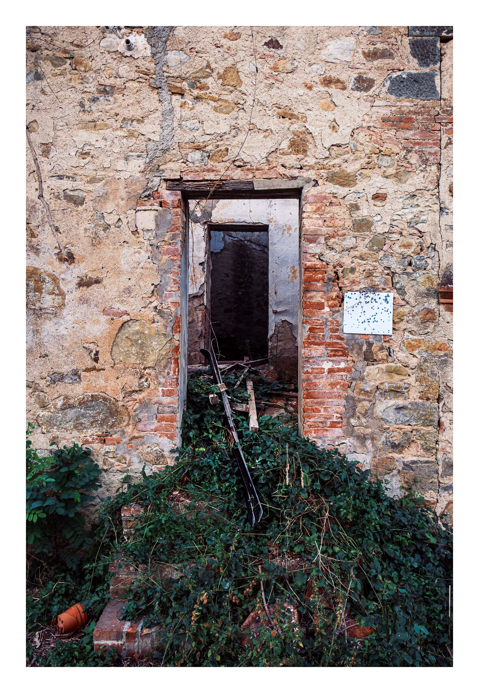 "Learn art et pónila aside."