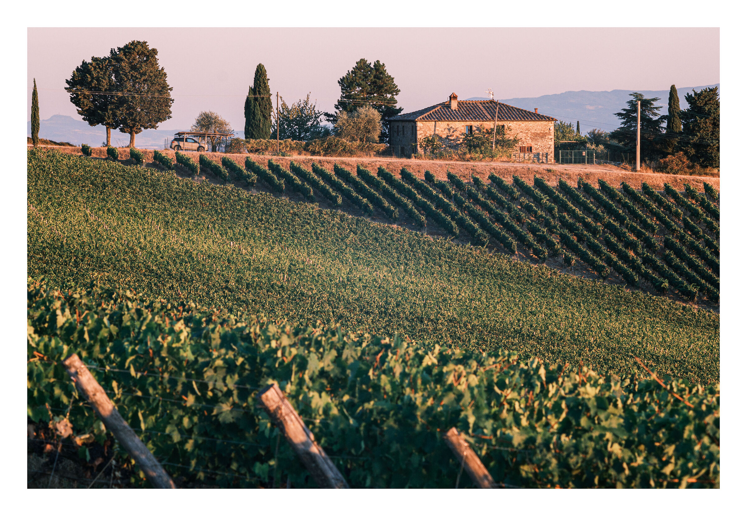 “La vita è veramente molto semplice; ma noi ins...