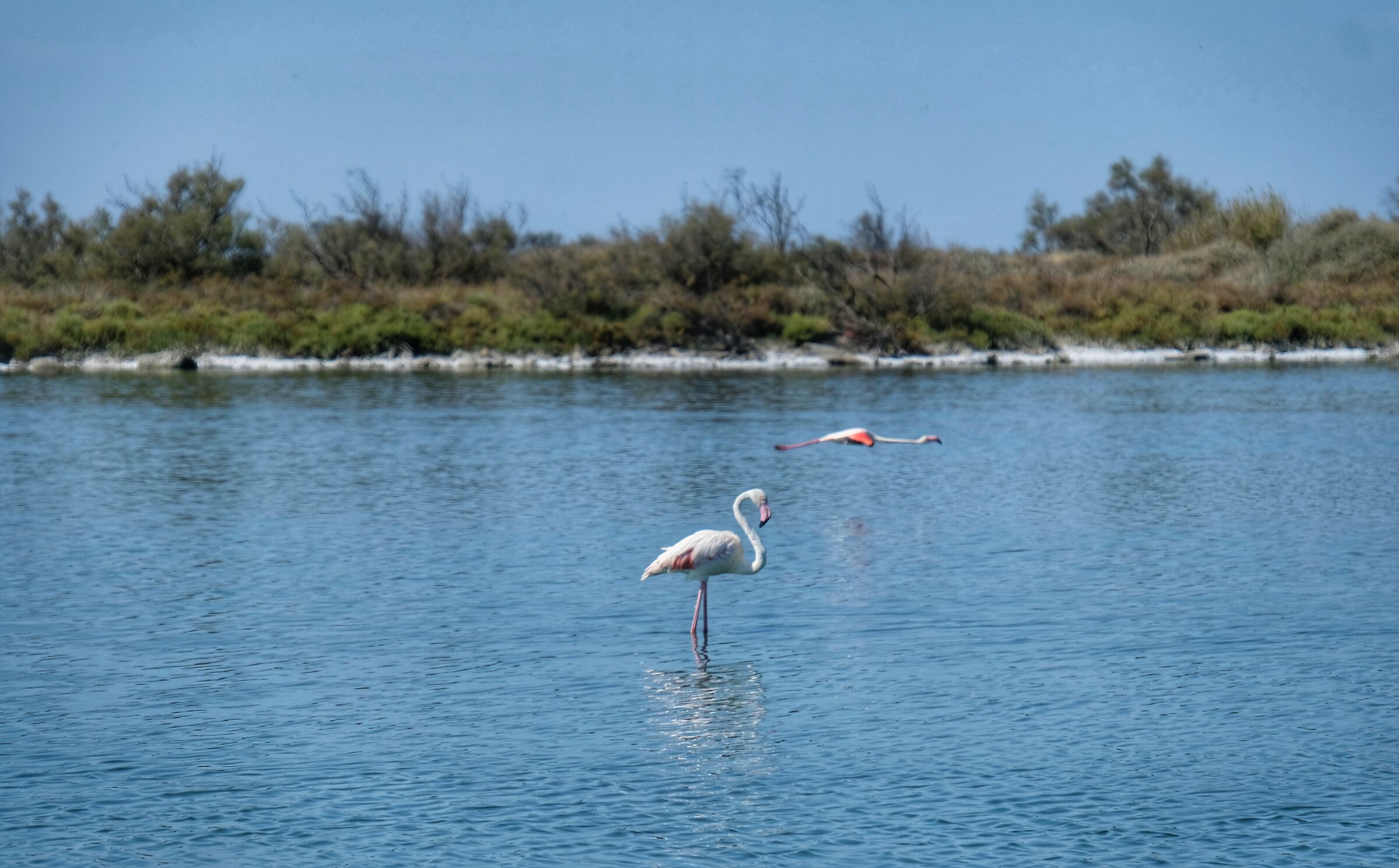 Sei di fretta amico?