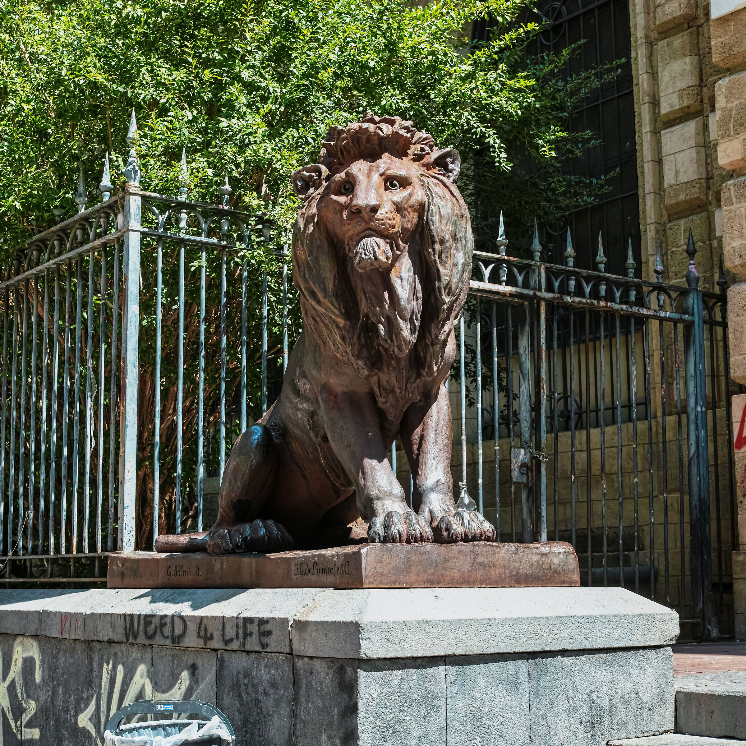 Vecchio leone, ma con un carattere di ferro