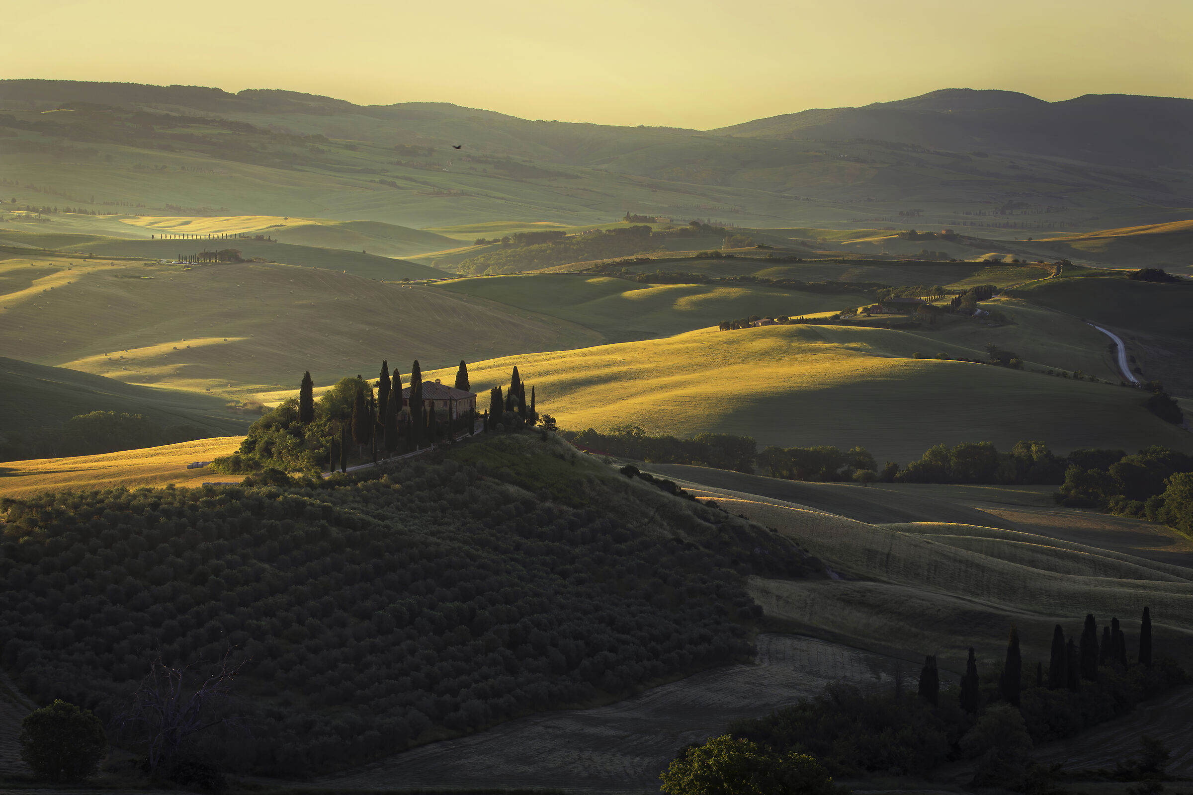 Sunrise at Belvedere