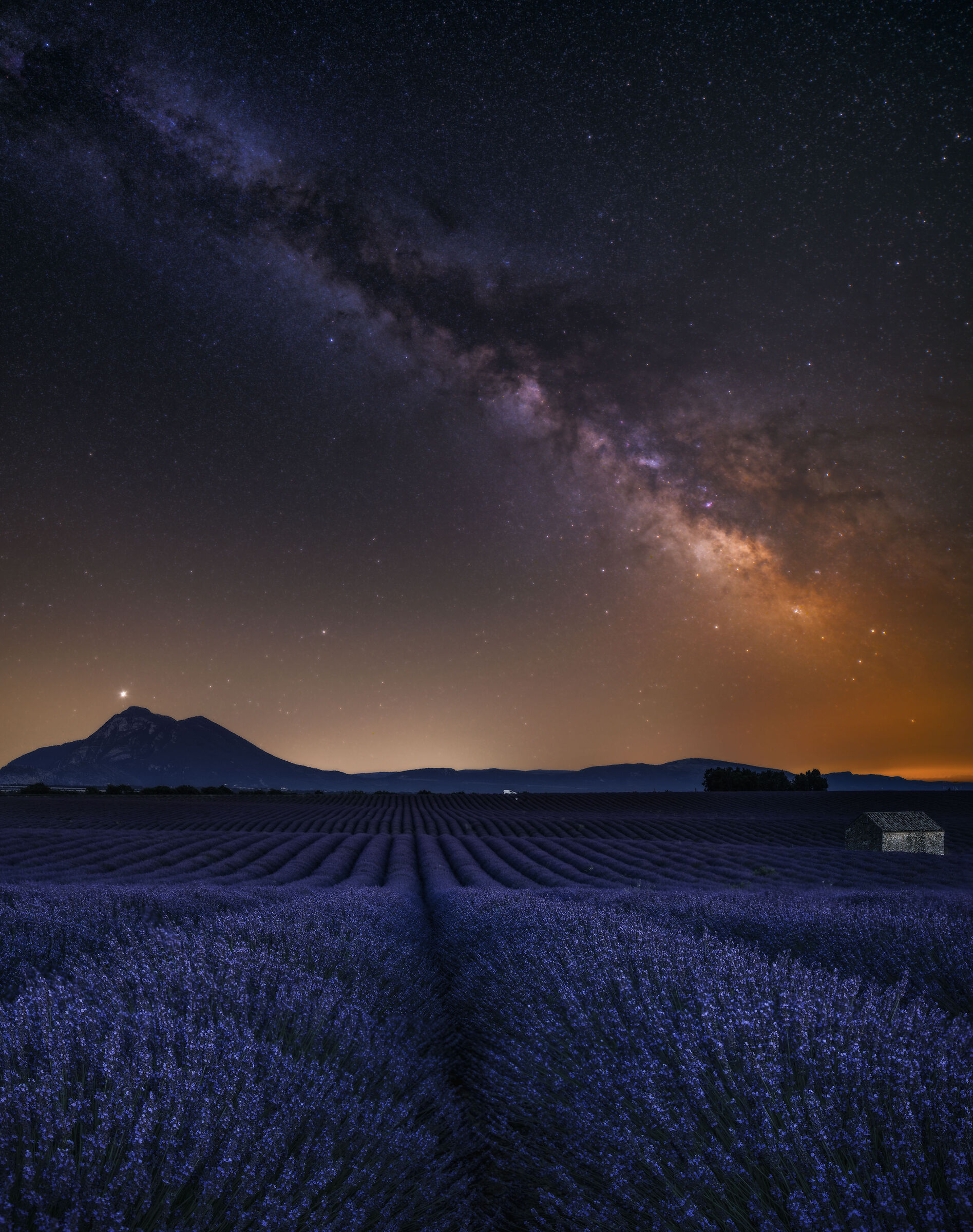 Lavanda e stelle