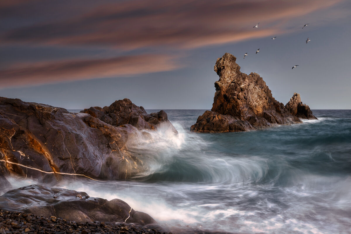 Lo scoglio dei gabbiani