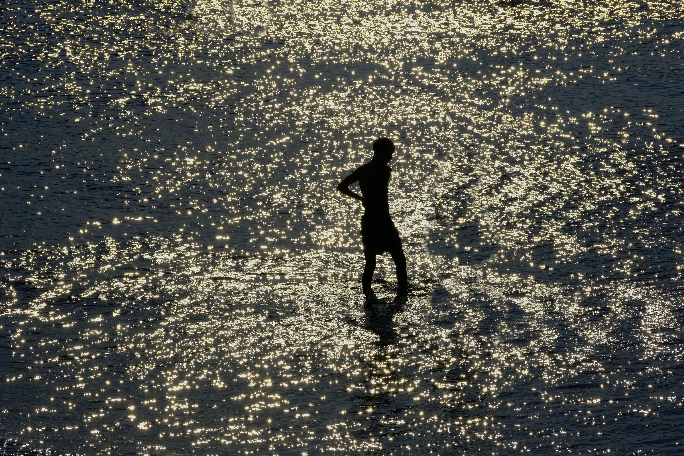 the shadow of the sunset